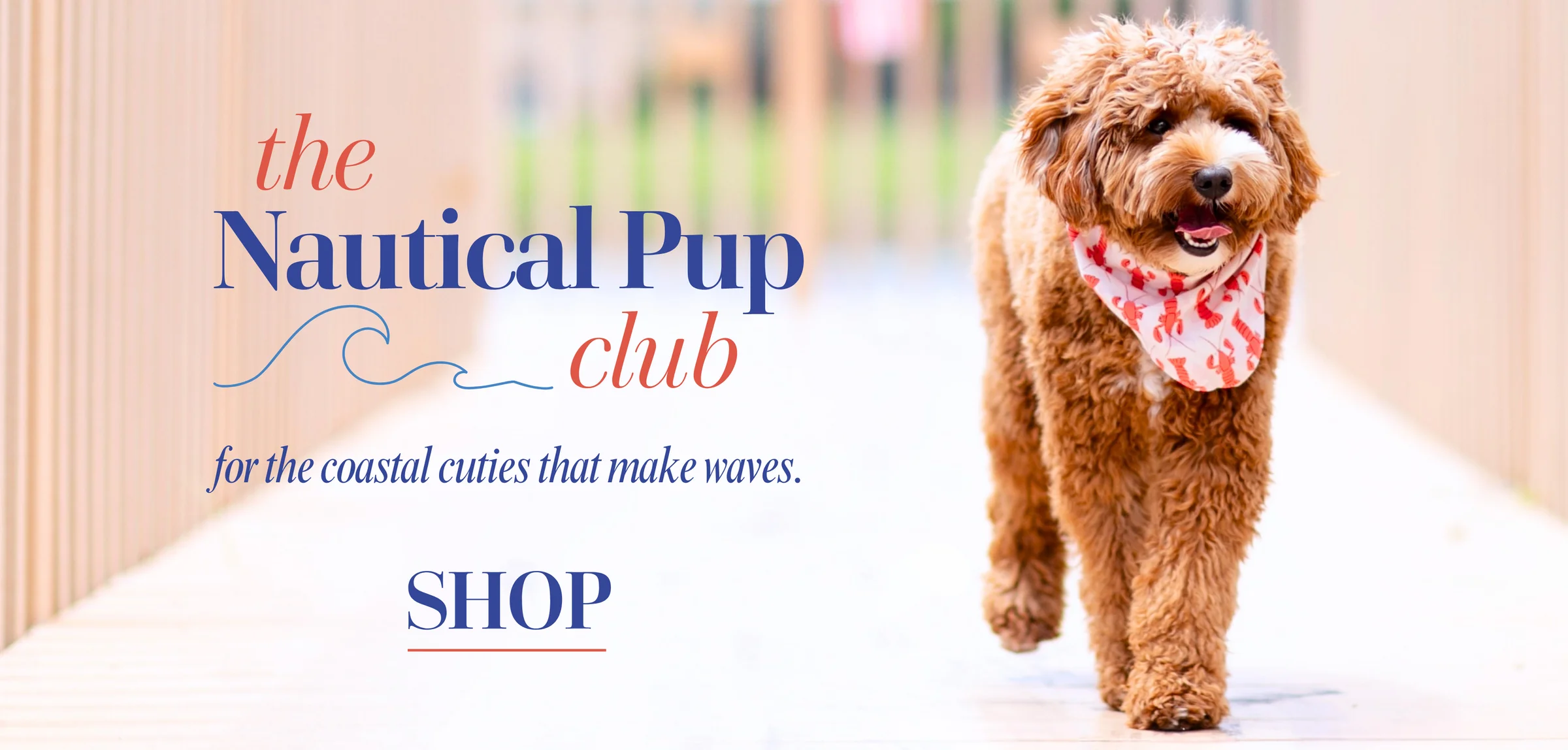 Sustainable Style for Modern Pets