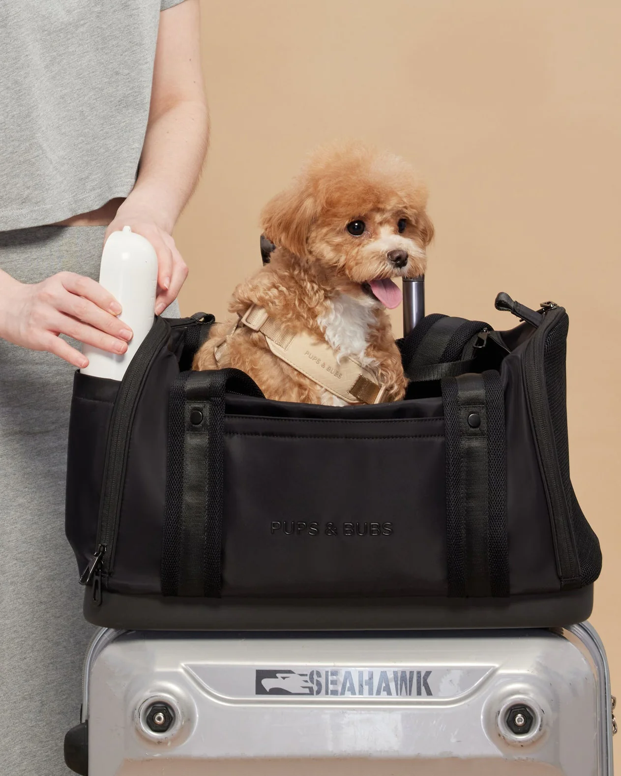 Welcome Aboard Travel Carrier in Black