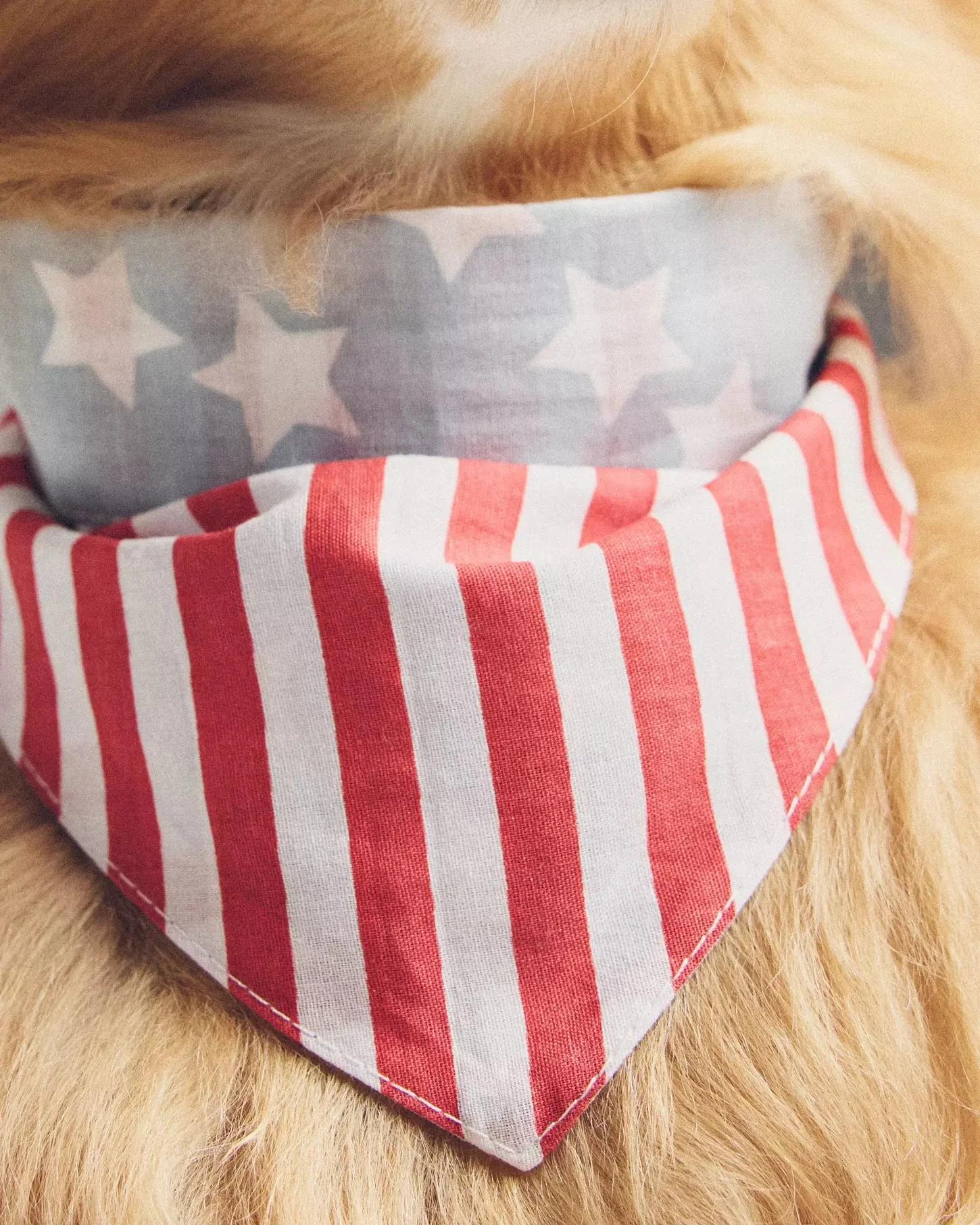 Yankee Poodle American Flag Reversible Bandana - Image 6