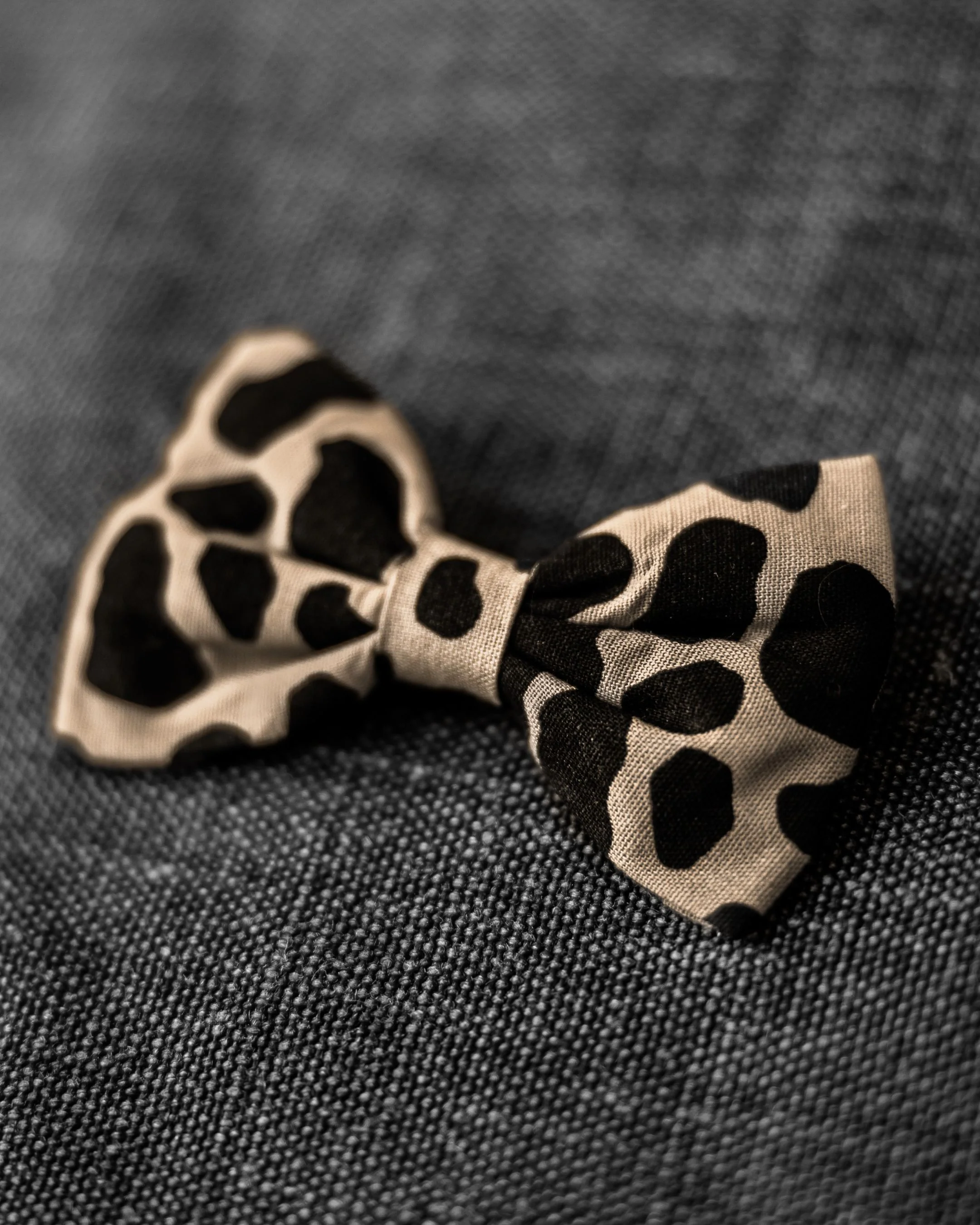 Hemlock Leopard Dog Bow Tie - Image 2
