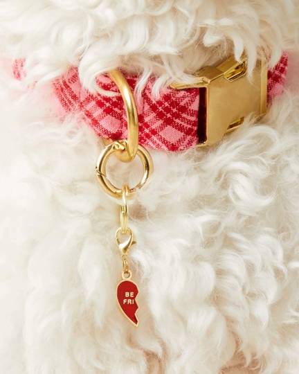 BFF Collar Charm Set - Image 2