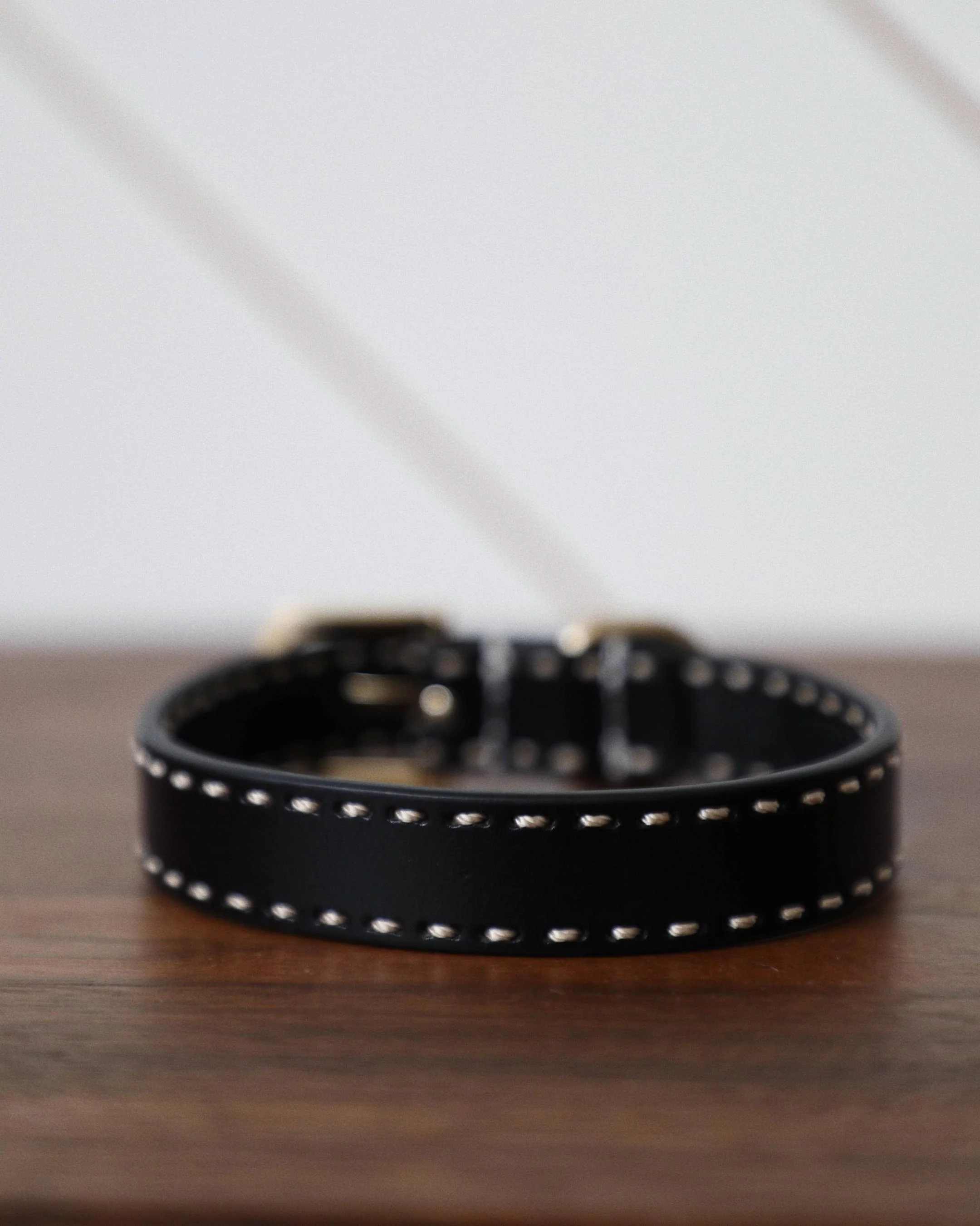Take the Lead Black Leather Walk Kit, Collar + Leash - Image 7