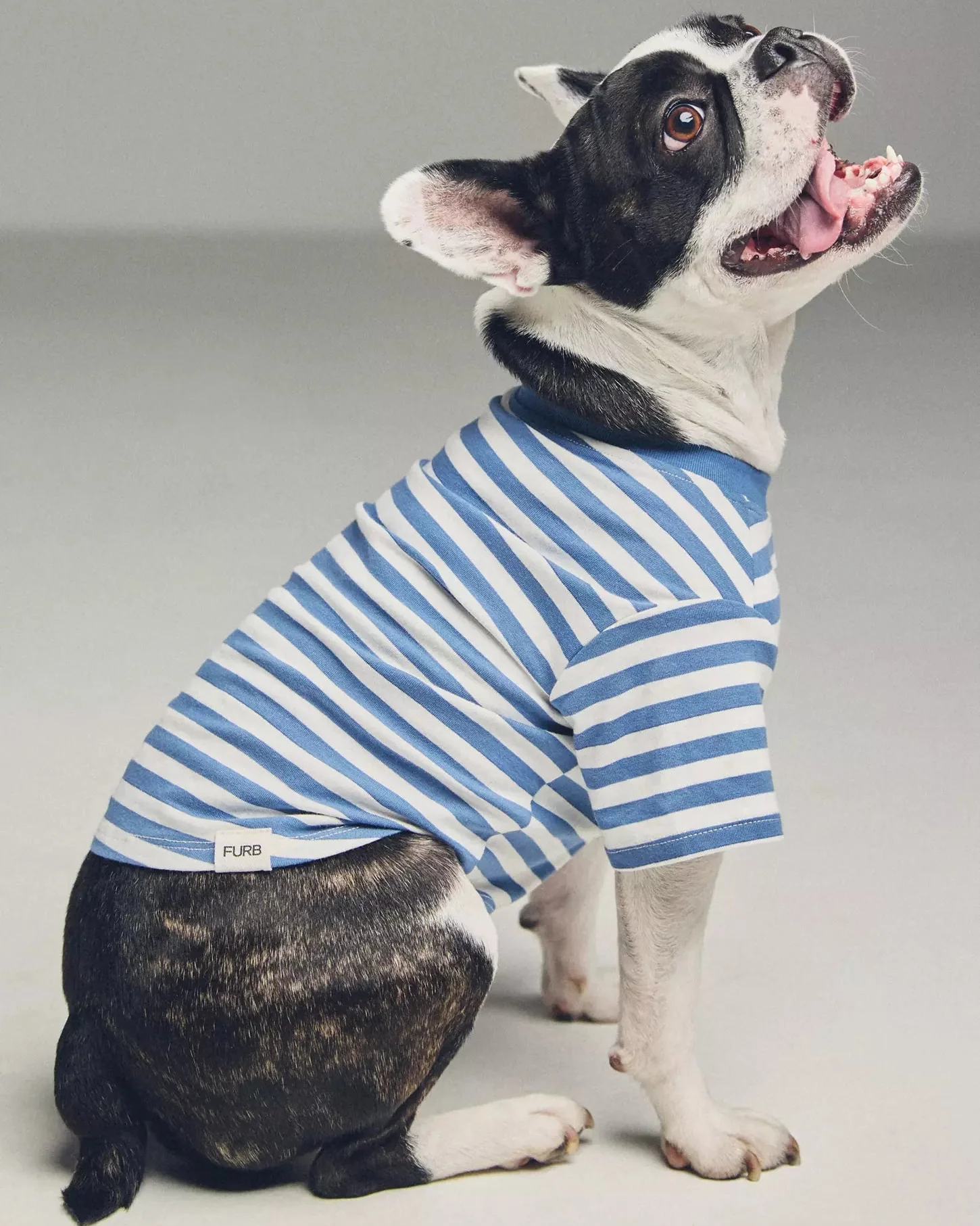 Casual Cutie Blue + White Relaxed Dog T-Shirt - Image 2