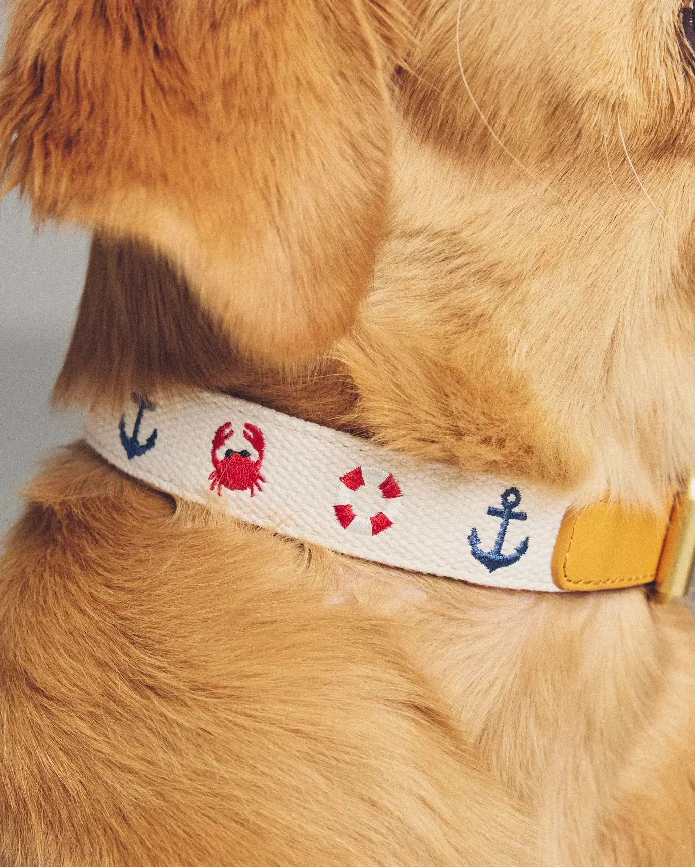 Seas The Day Embroidered Dog Collar - Image 6