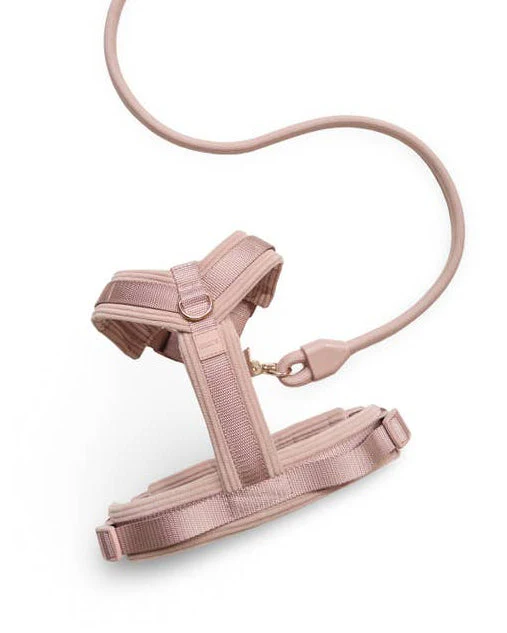 Sunday Stroll Blush Dog Harness - Image 7