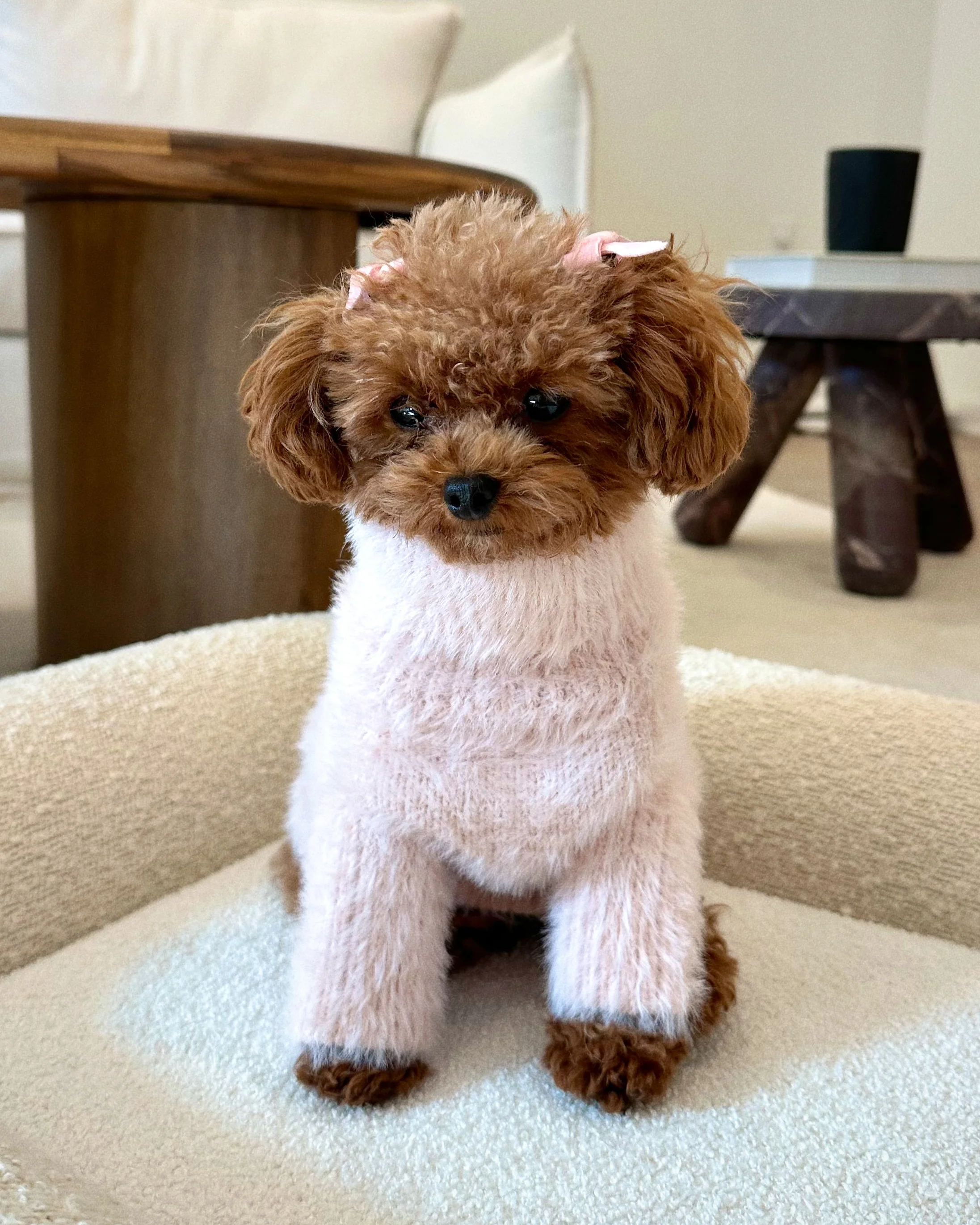 Bobbi Blush Eyelash Knit Dog Sweater - Image 8