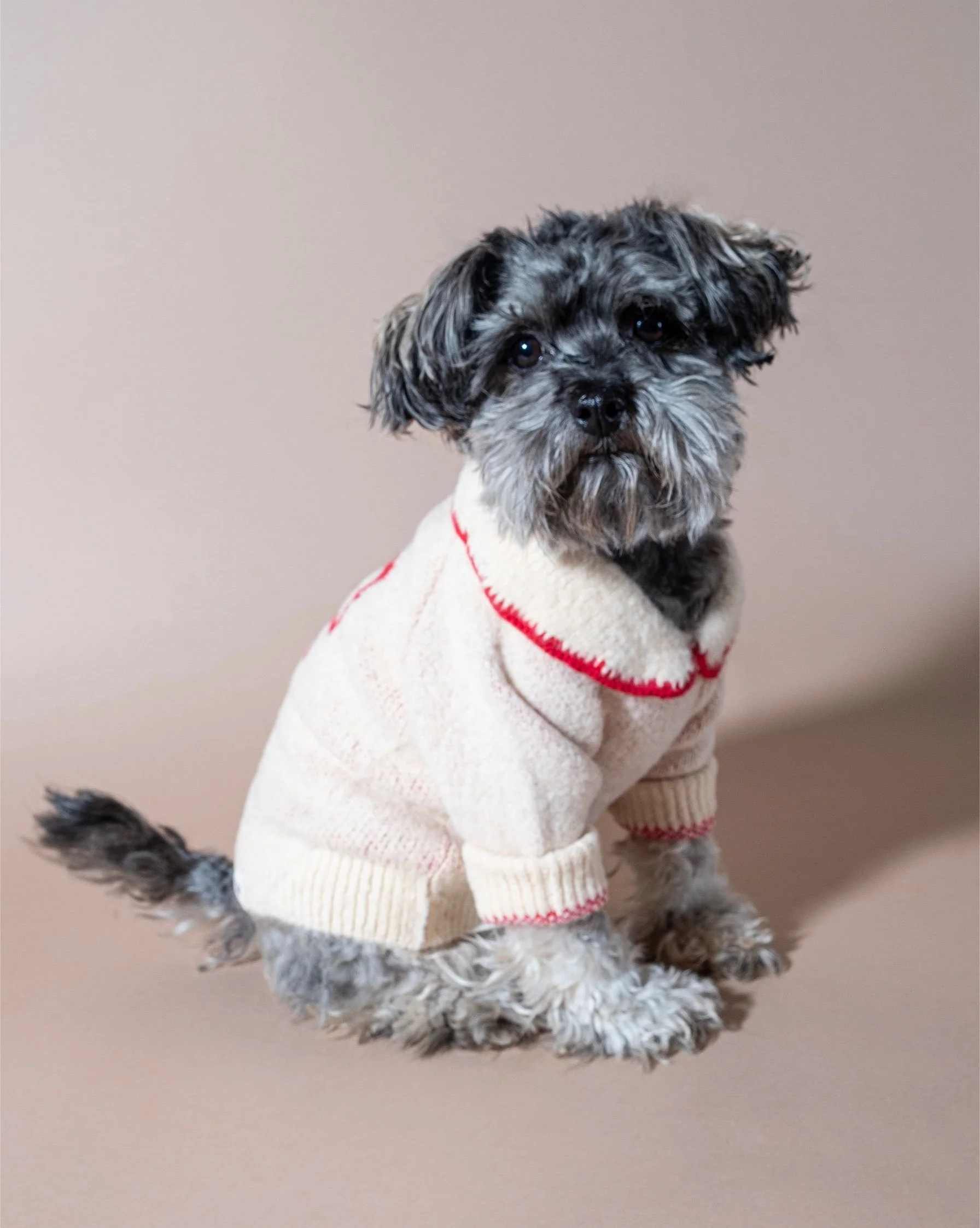 All Wrapped Up Ivory Bow Sweater - Image 7
