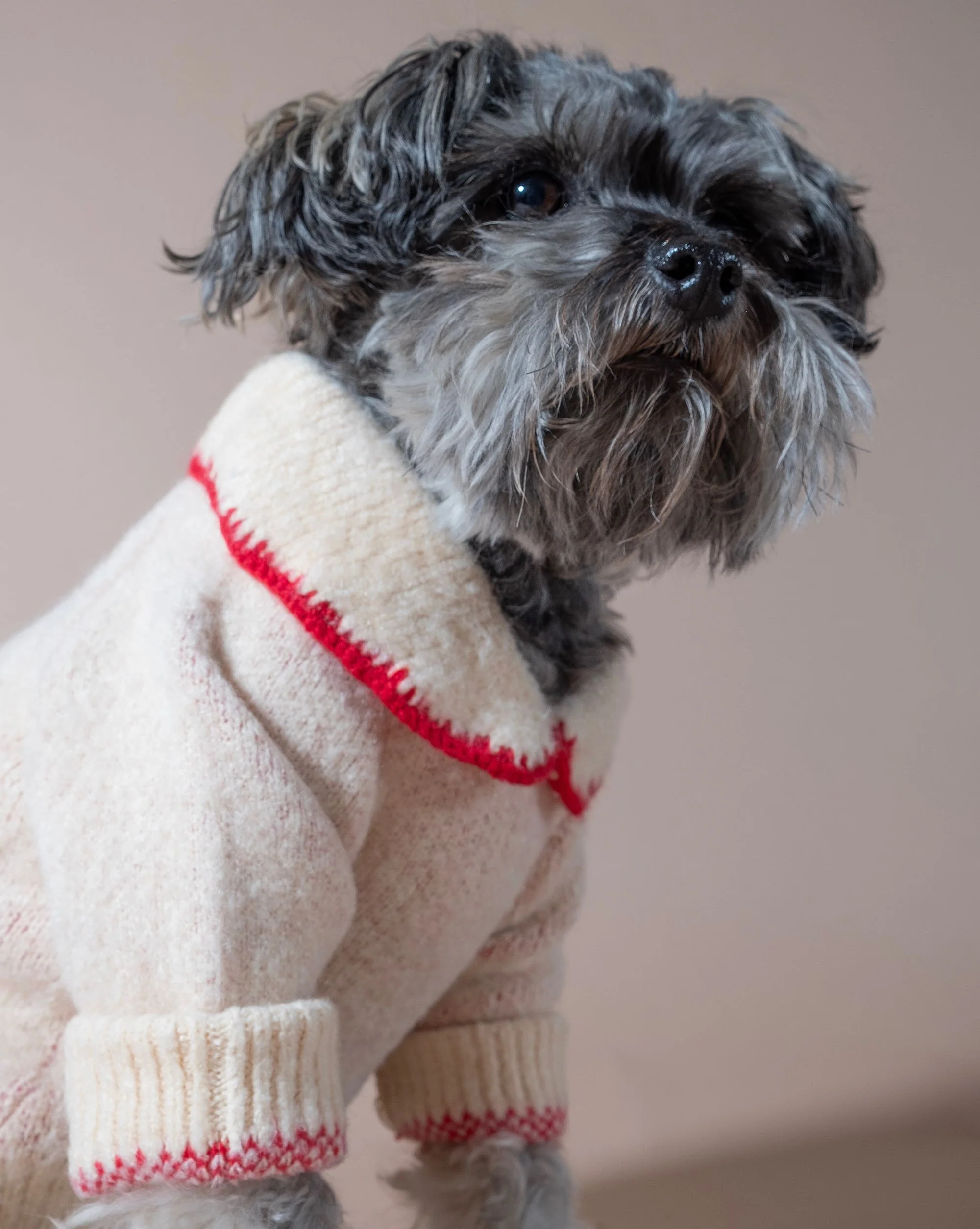 All Wrapped Up Ivory Bow Sweater - Image 8