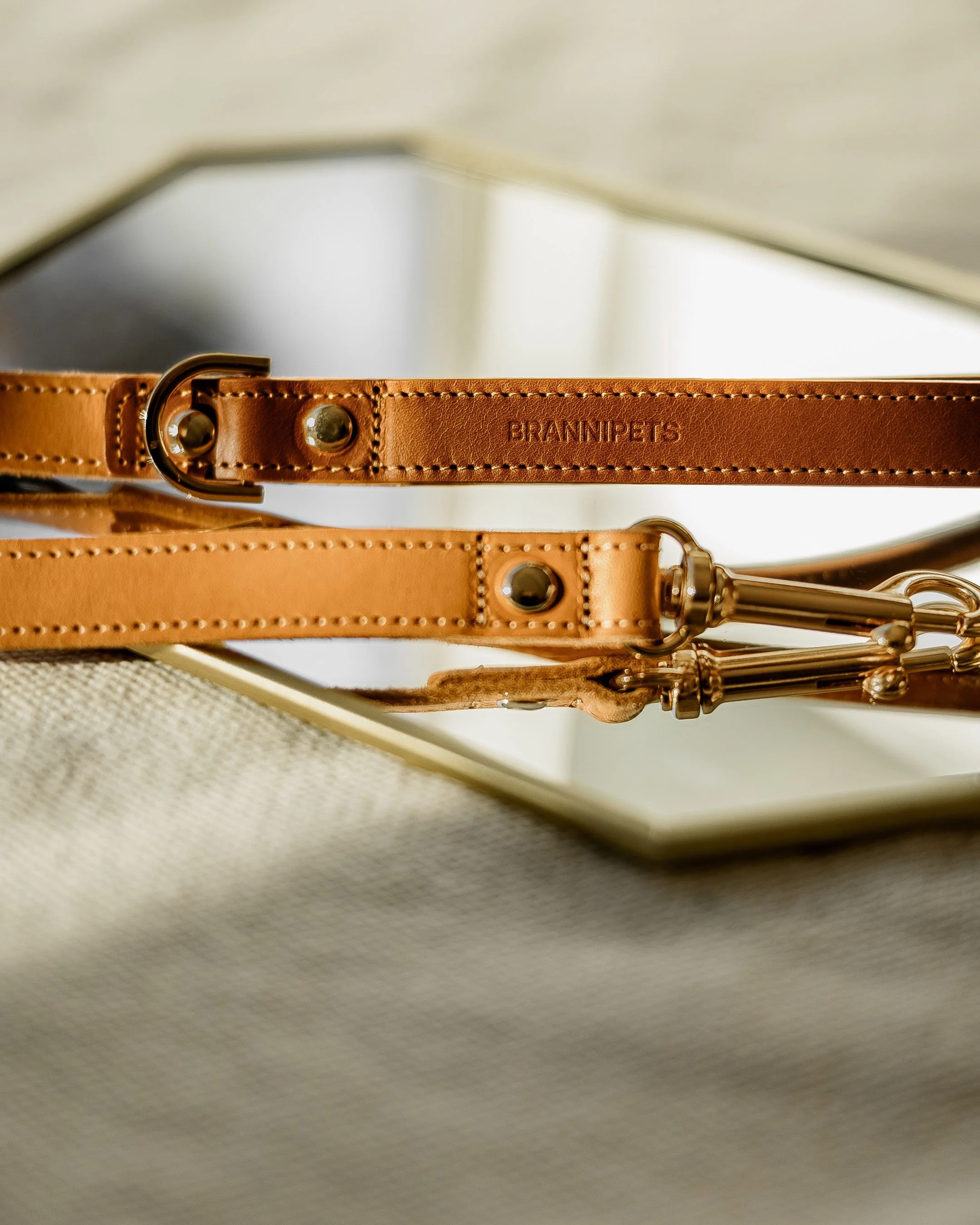 Rocco Tan + Cognac Leather Dog Leash - Image 3