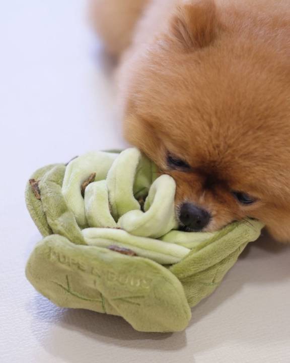 Lil' Sprout Cabbage Snuffle Dog Toy - Image 4
