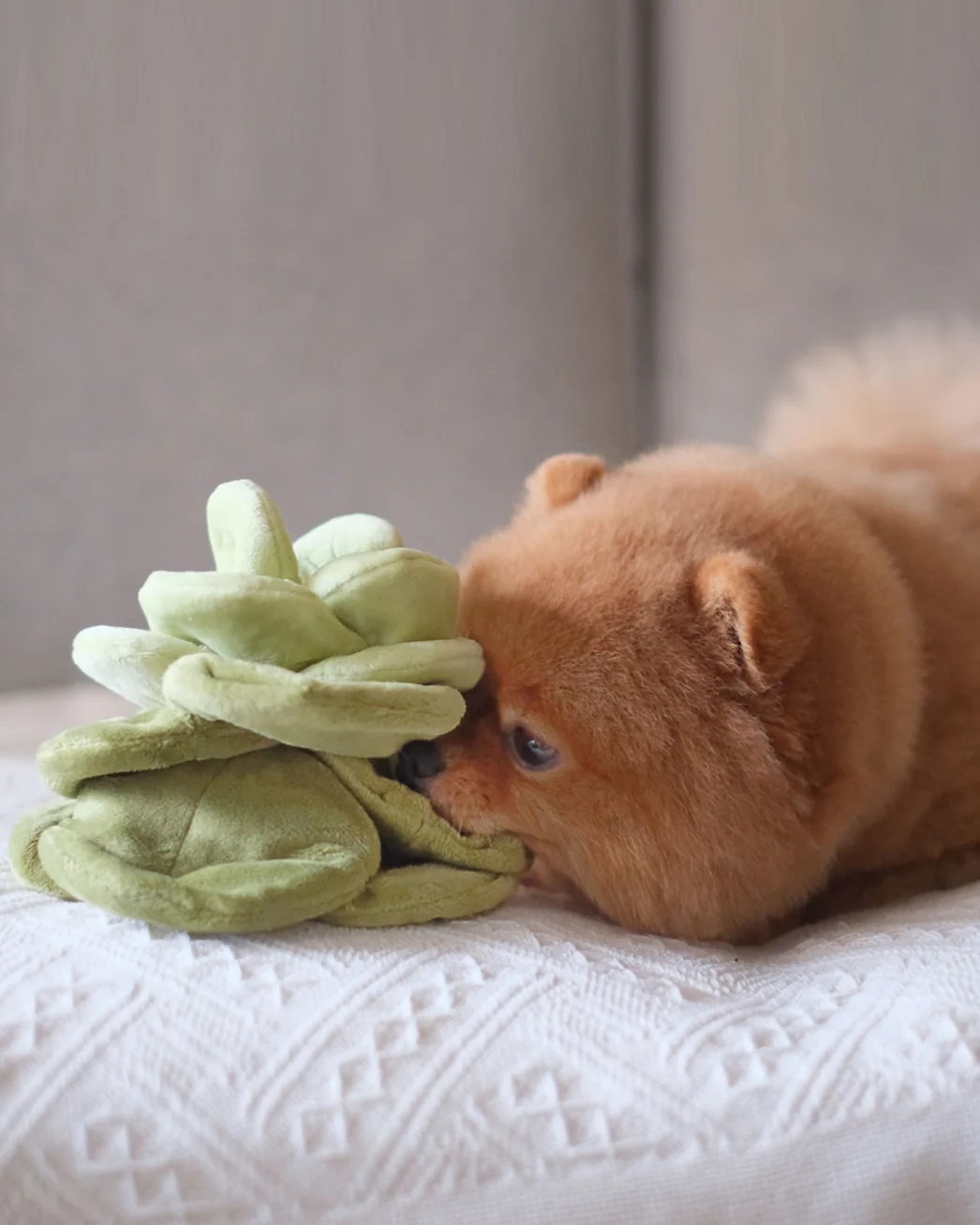Lil' Sprout Cabbage Snuffle Dog Toy - Image 5