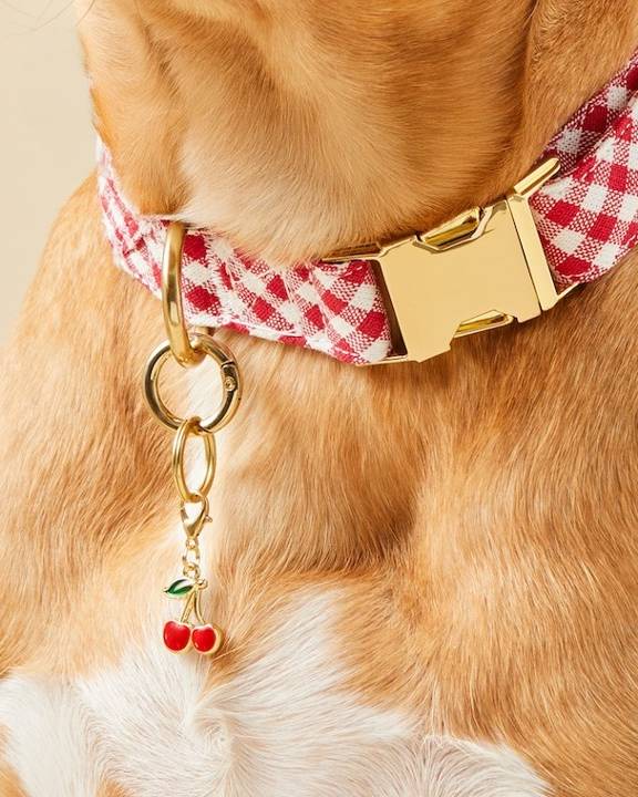 Cherries Collar Charm - Image 2