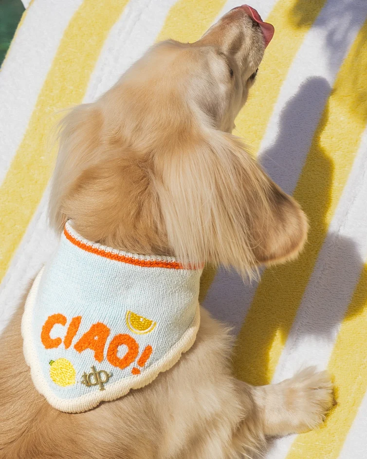 Ciao Bella Dog Bandana - Image 5