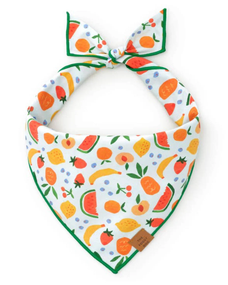 Squeeze the Day Dog Bandana