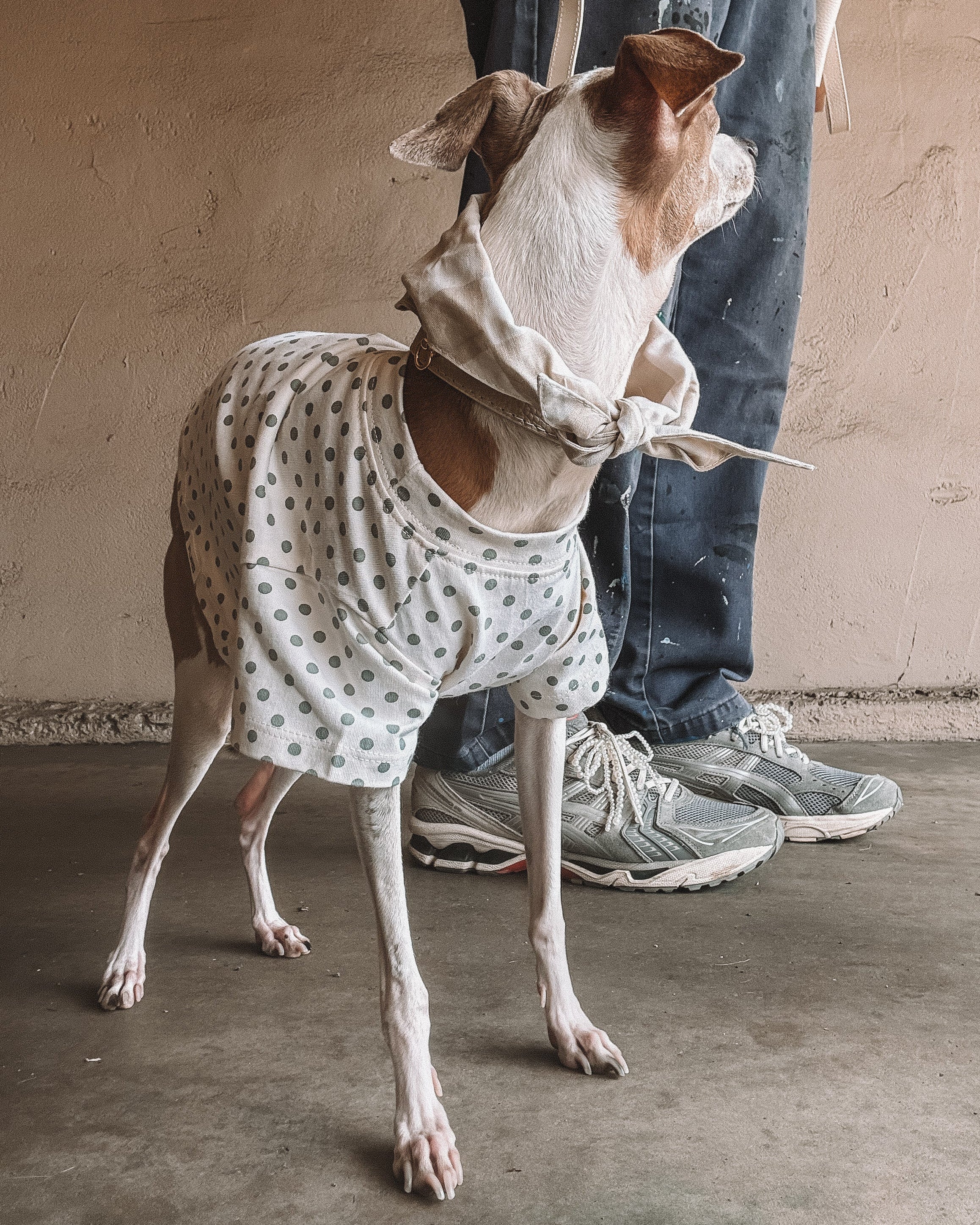 Speckled Sweetie Polka Dot Dog T-Shirt - Image 3