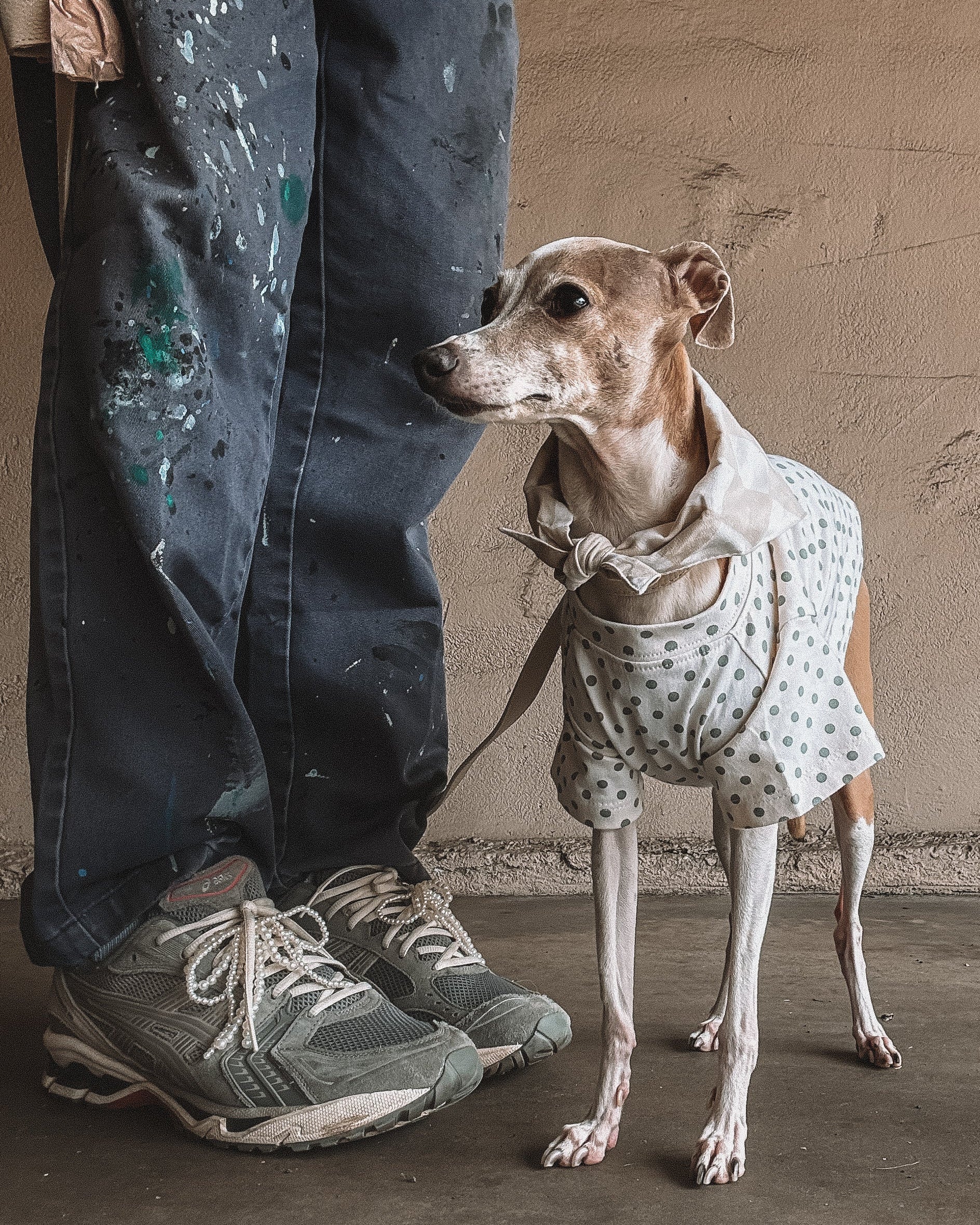 Speckled Sweetie Polka Dot Dog T-Shirt - Image 6