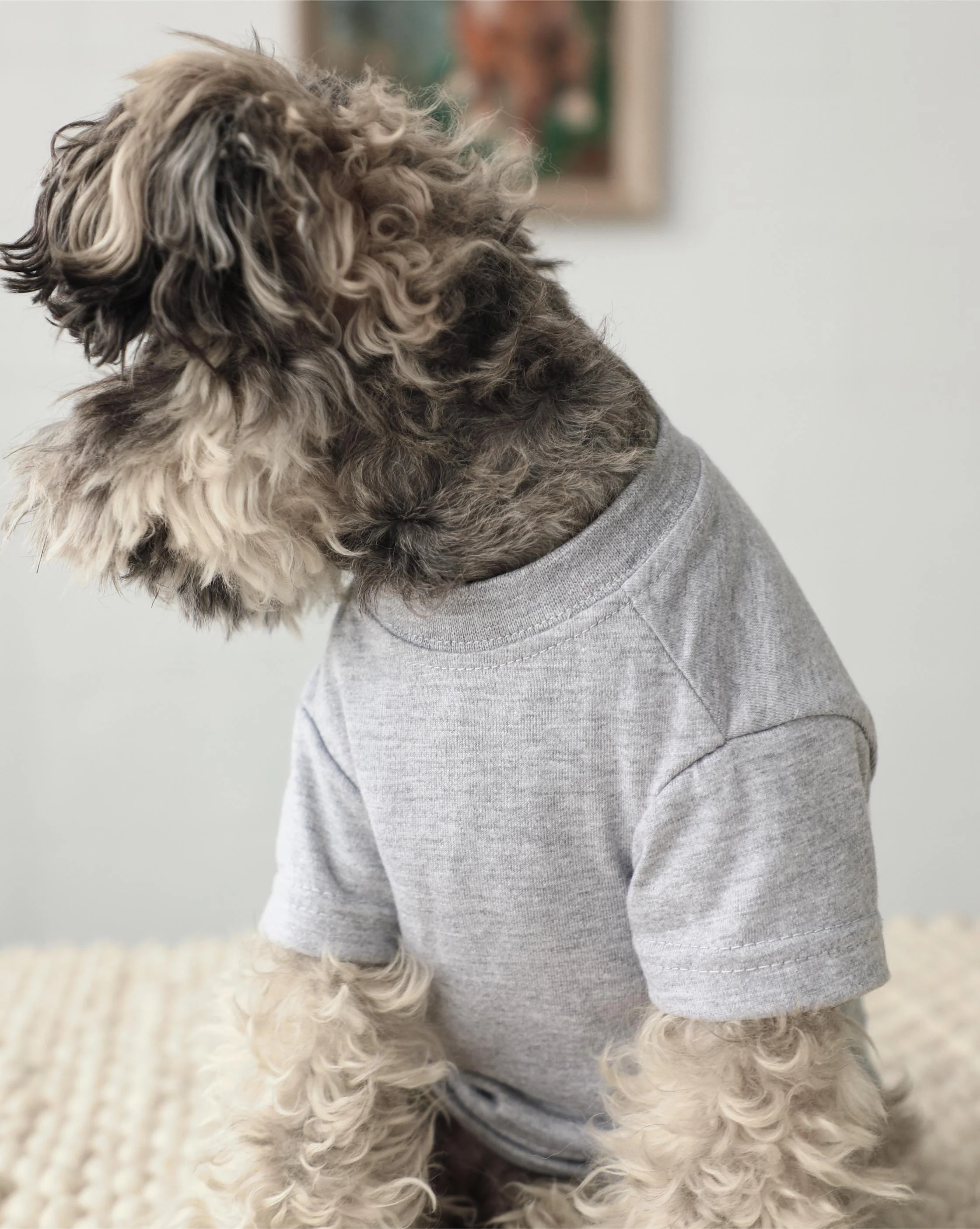Casual Cutie Grey Relaxed Dog T-Shirt - Image 3