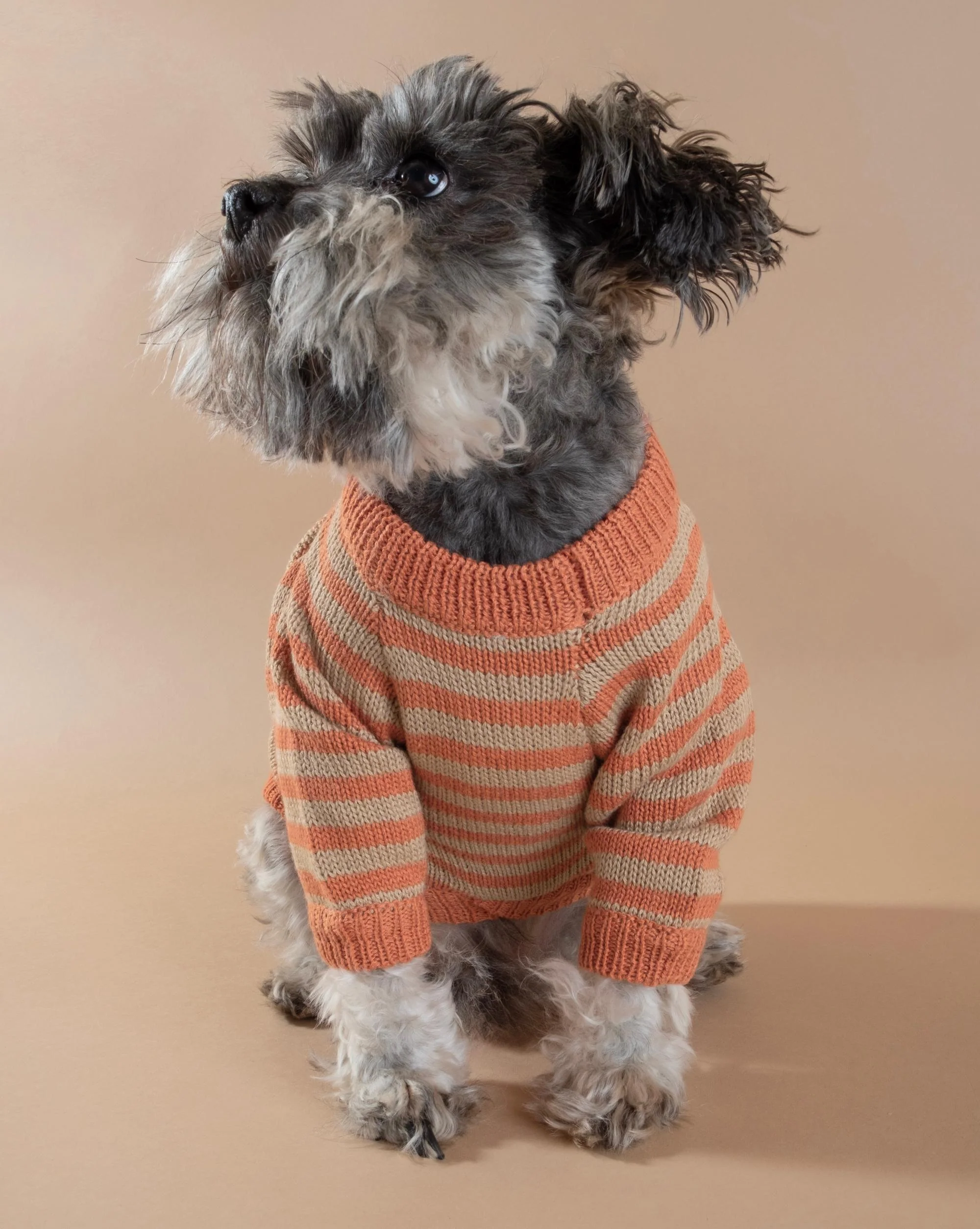 Like A Bandit Orange Striped Dog Sweater - Image 7