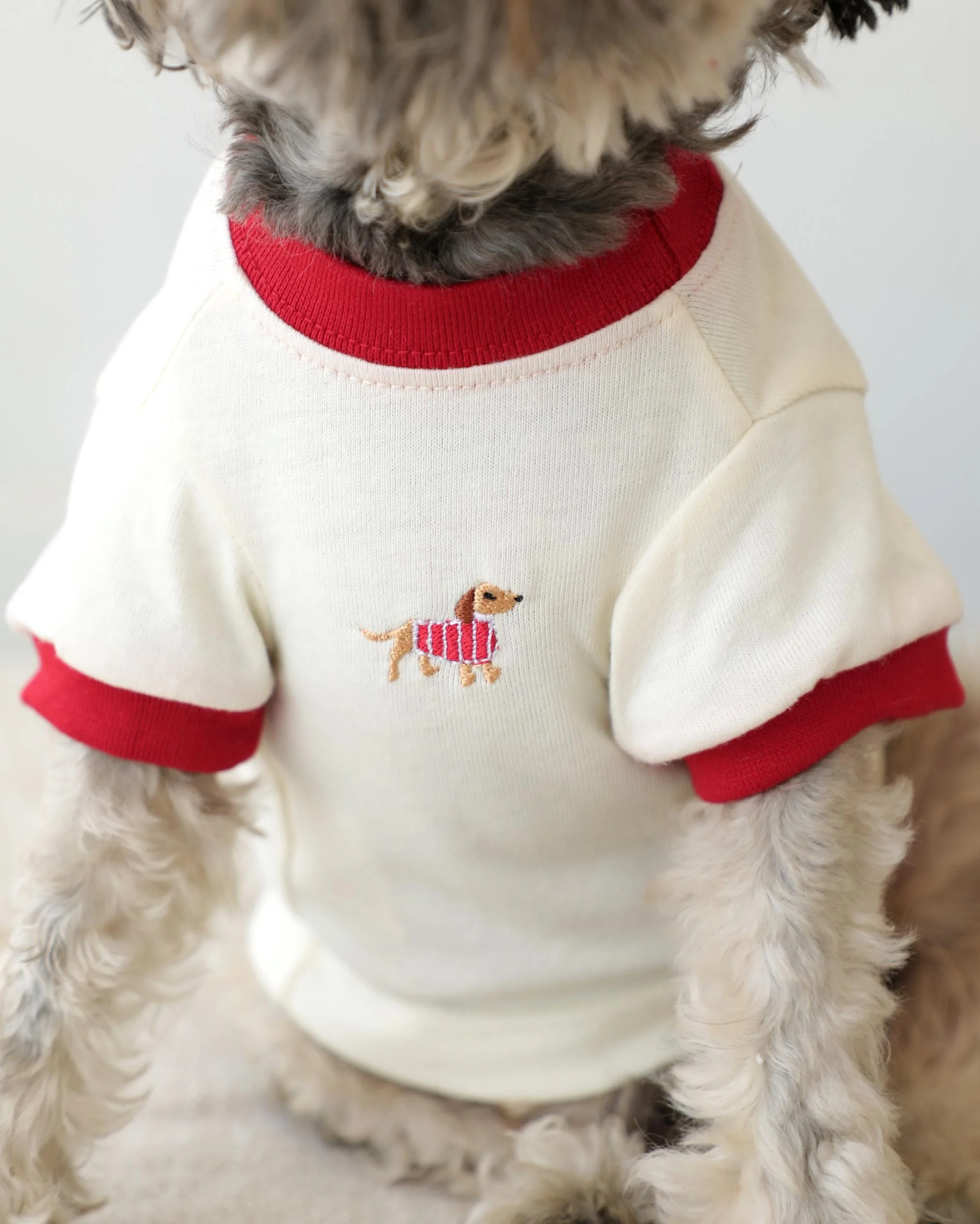 Hot Diggity Dachshund Ringer Tee - Image 6