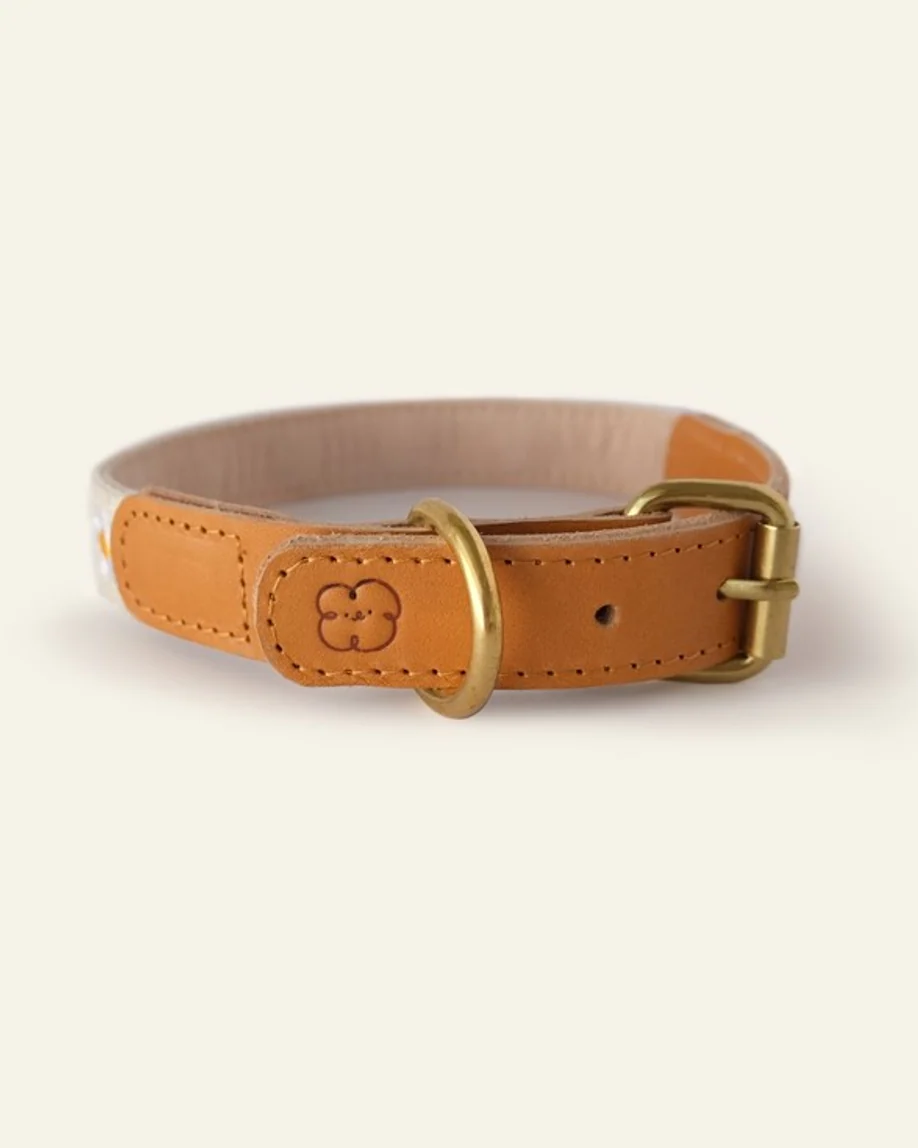 Fresh As A Daisy Dog Collar - Image 3