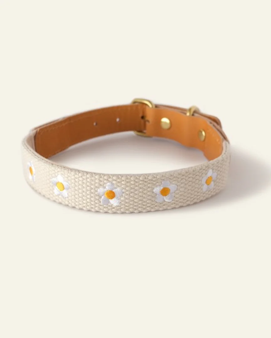 Fresh As A Daisy Dog Collar - Image 5