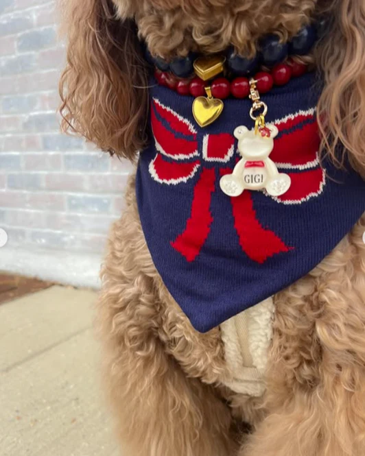 Mademoiselle Navy + Red Bow Bandana - Image 4