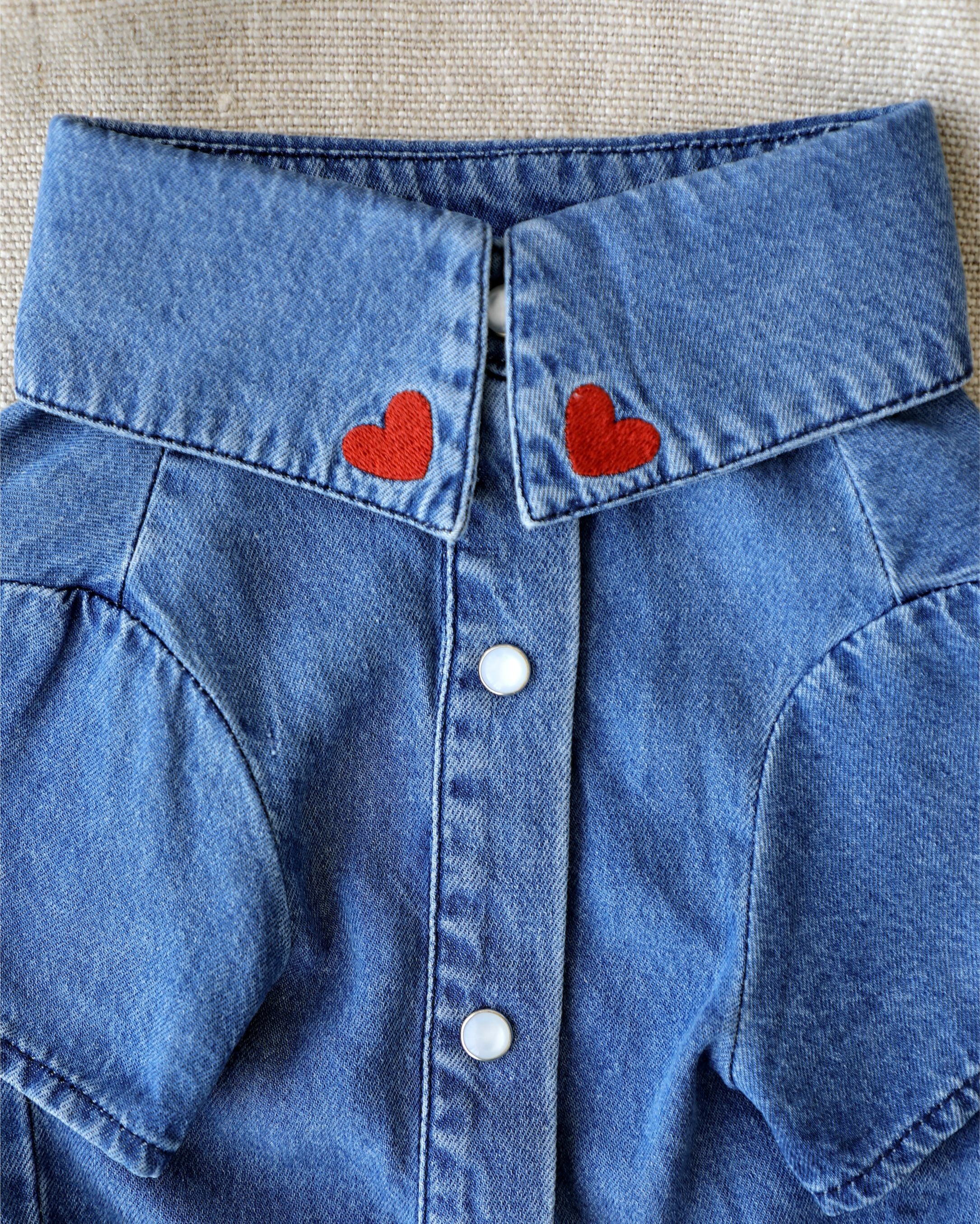 Boot Scootin' Denim Dog Shirt - Image 5