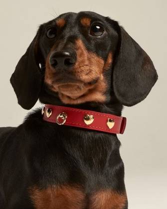 Nara Studded Collar Red Leather Walk Kit - Image 2