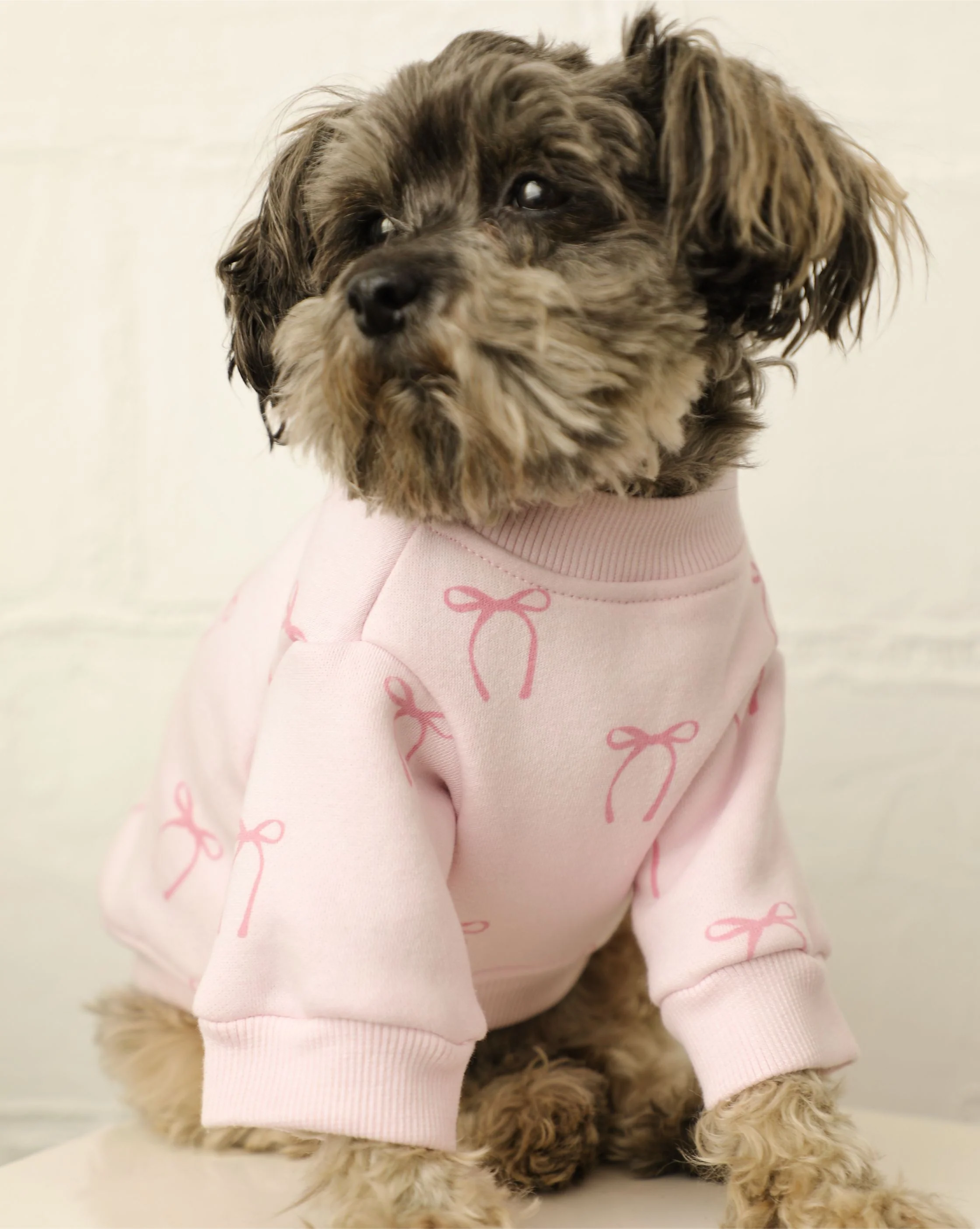 Blushing Babe Pink Bow Dog Sweatshirt - Image 2