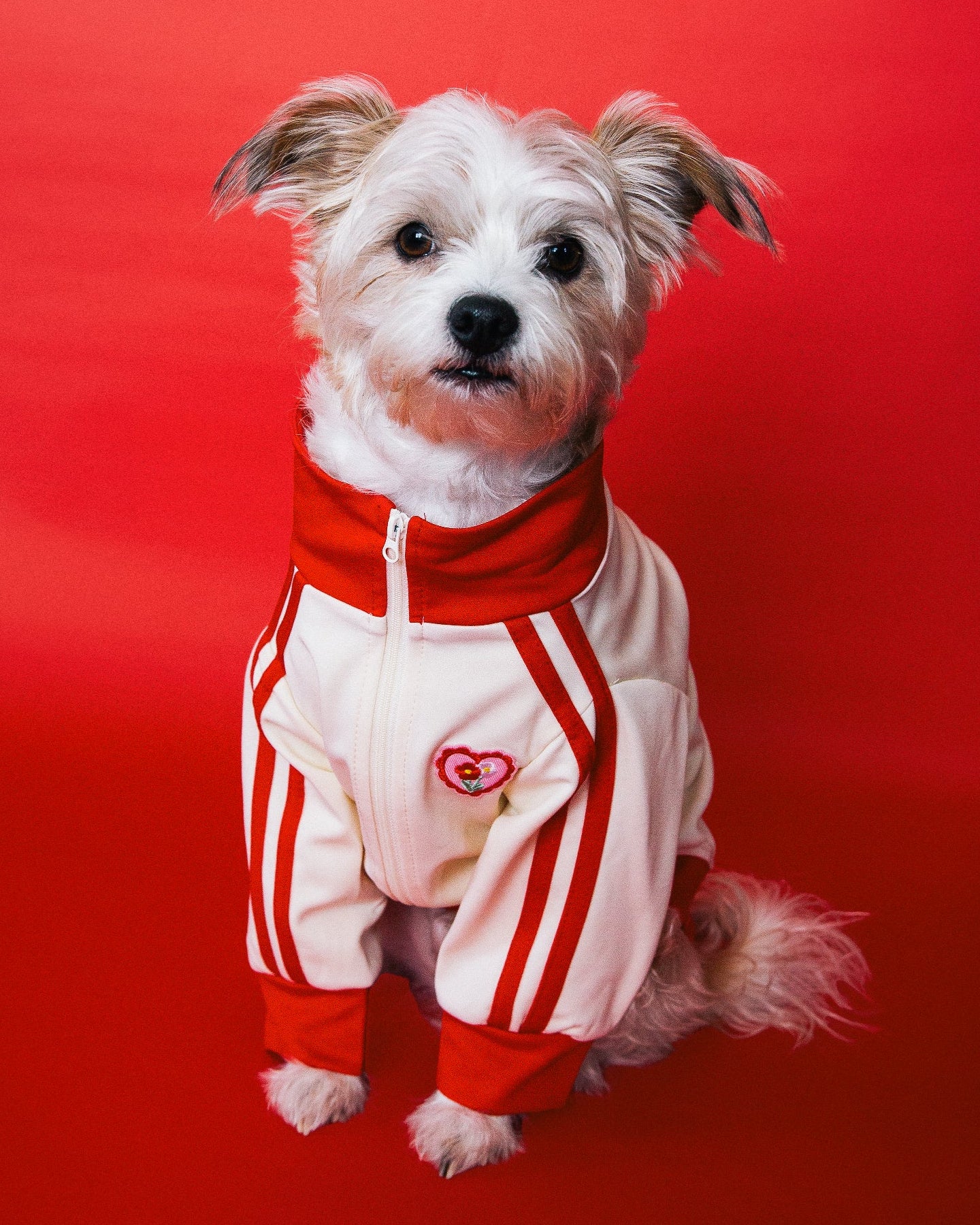 Team Captain Ivory + Red Track Jacket - Image 6