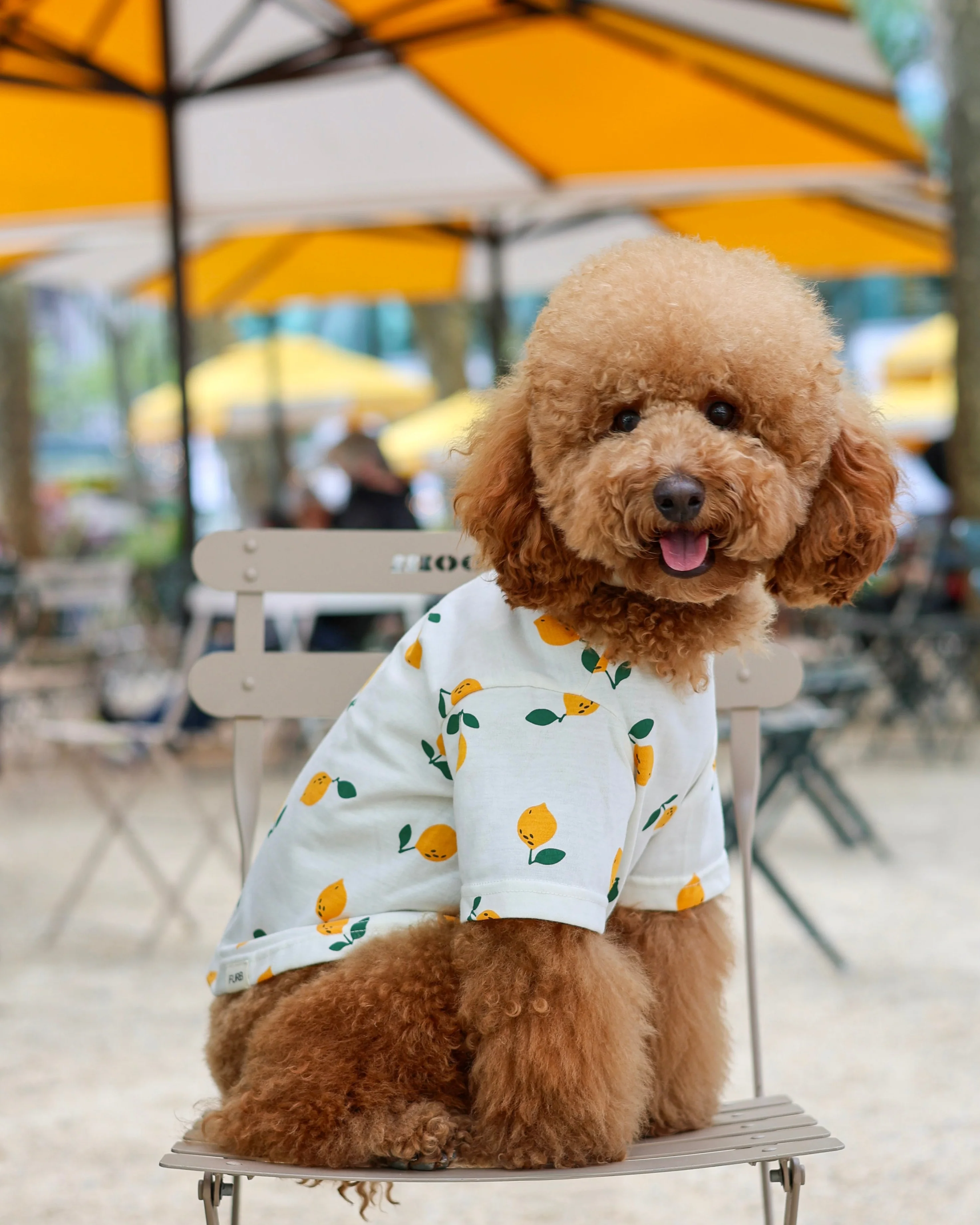 Casual Cutie Lemon Relaxed Dog T-Shirt - Image 10