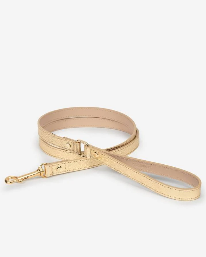 Palermo Harness Gold Leather Walk Kit - Image 3