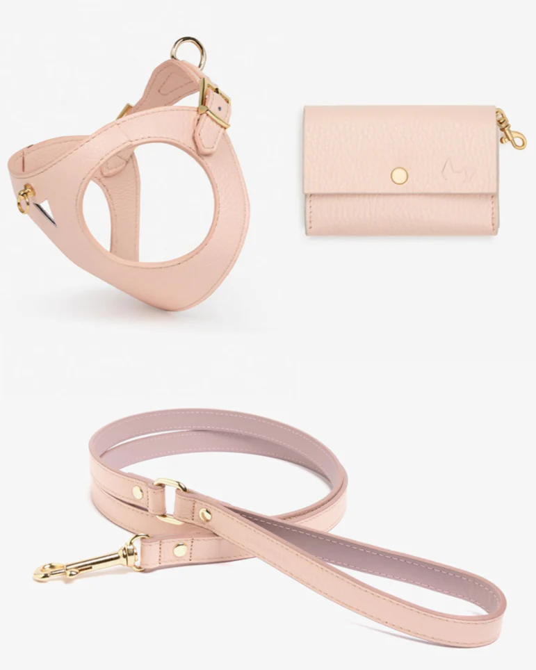 Luca Harness Light Pink Leather Walk Kit