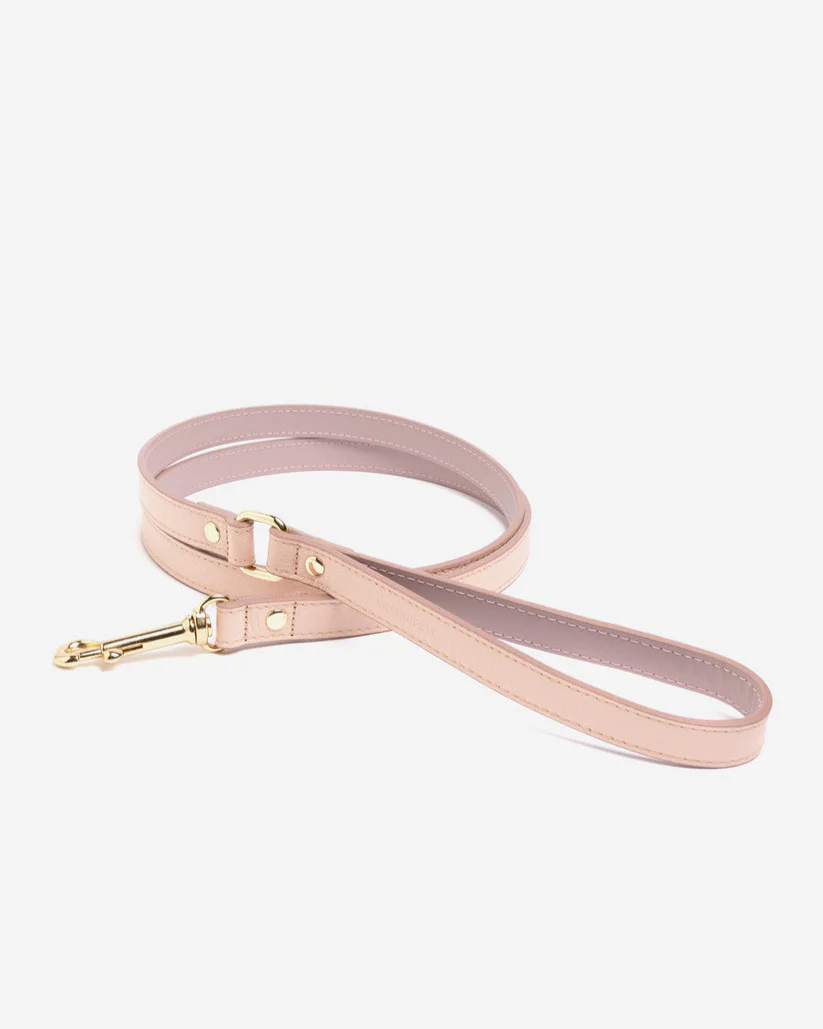 Luca Harness Light Pink Leather Walk Kit - Image 5