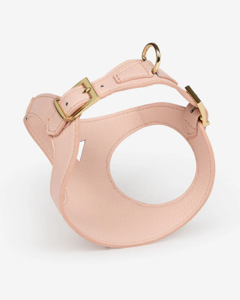 Luca Harness Light Pink Leather Walk Kit - Image 7