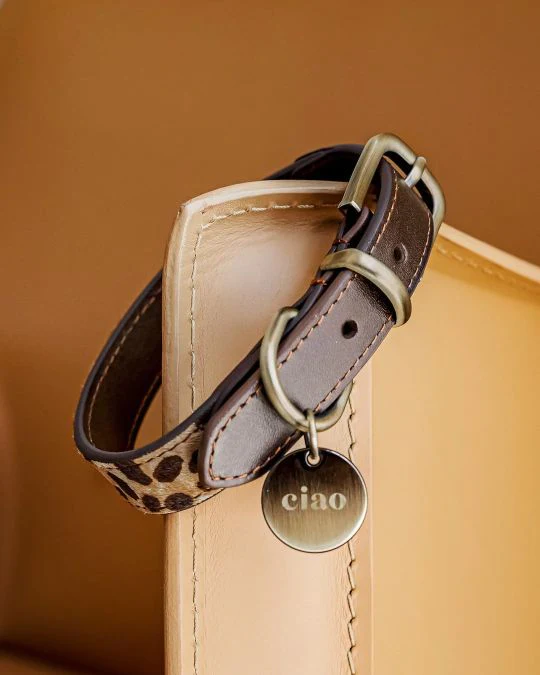 Wylde Brown Spotted Dog Bundle - Image 2