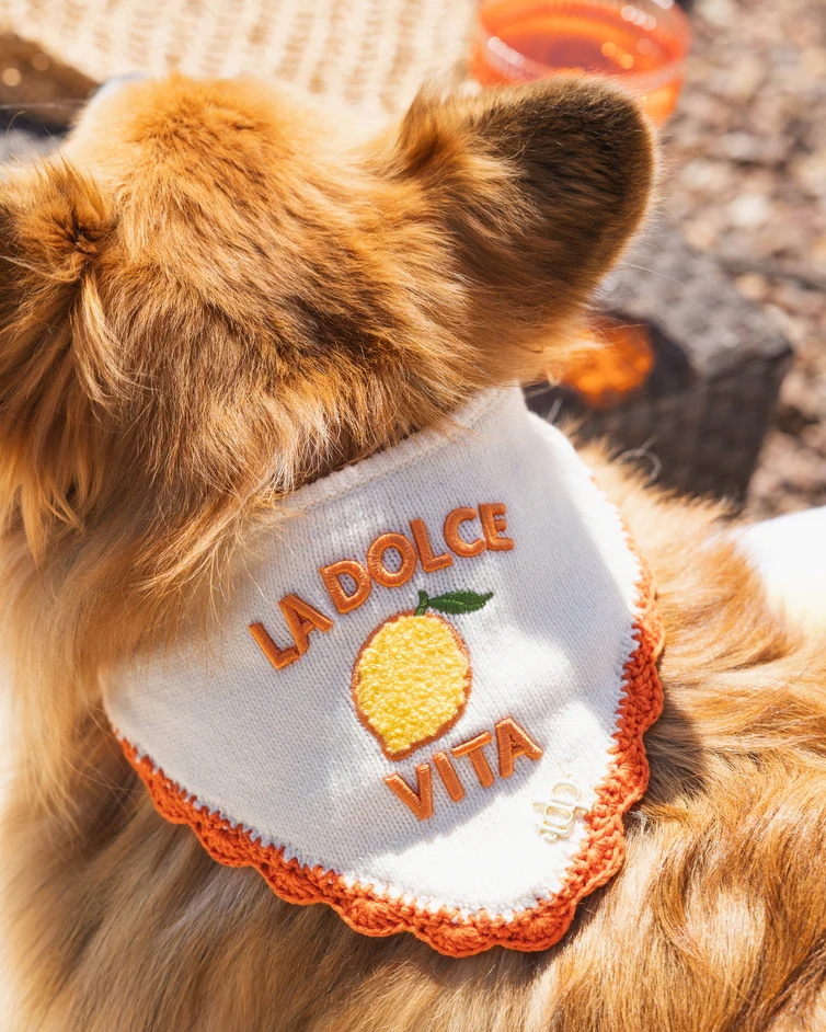 Dolce Days Dog Bandana - Image 5