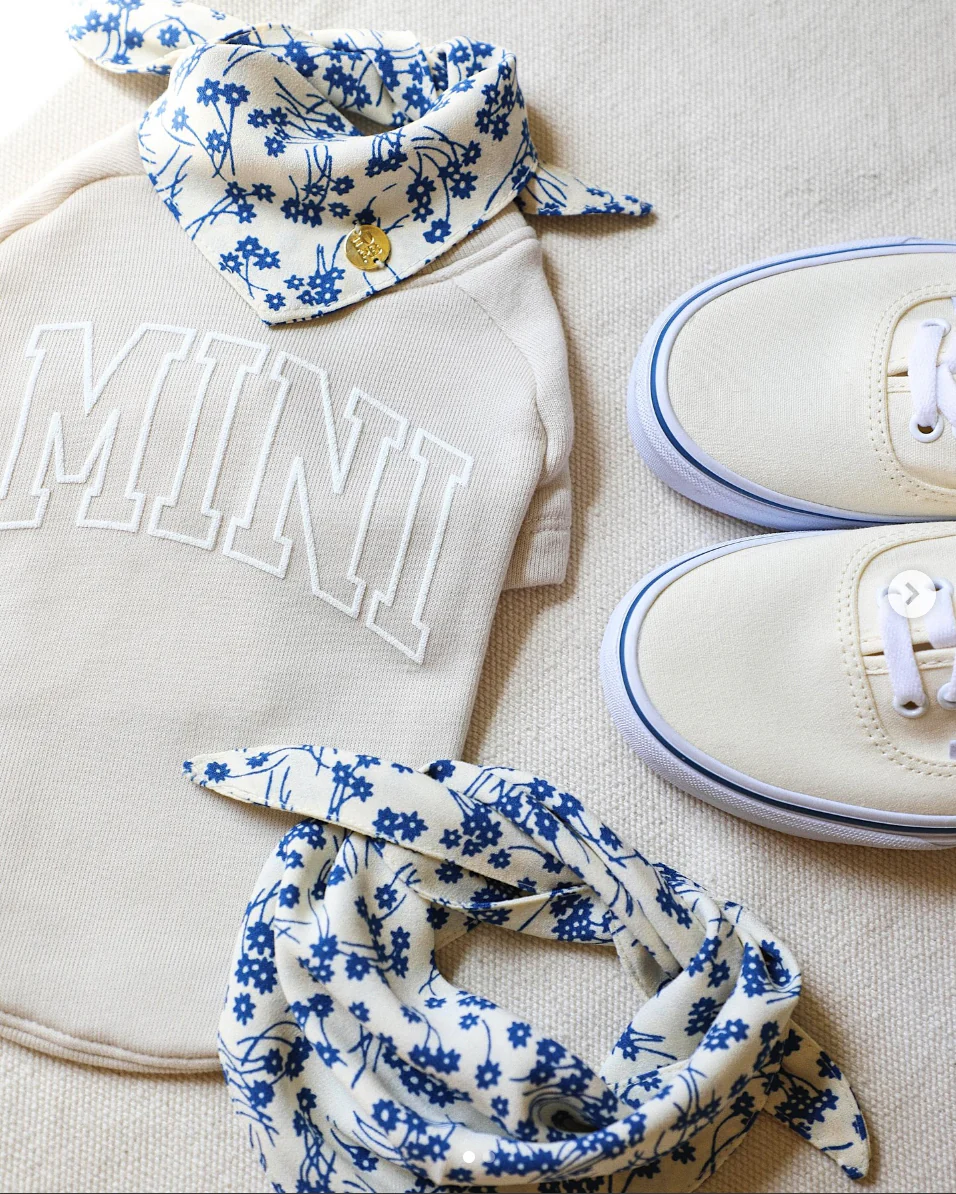 Mini Me Dog Sweatshirt - Image 7