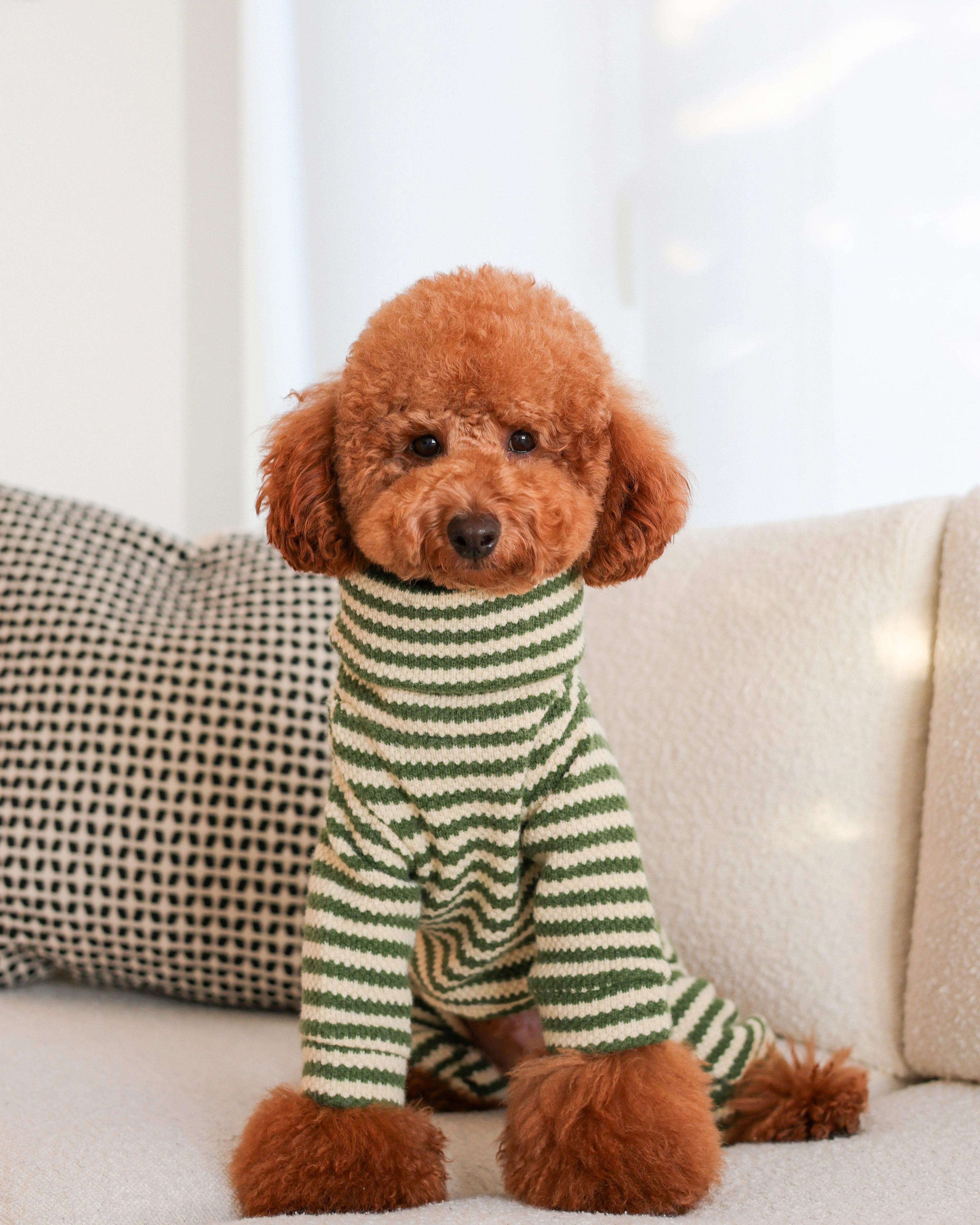 Charli Green + Ivory Dog Onesie - Image 7