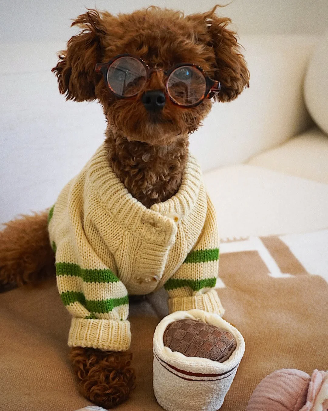 Little Sprout Green Striped Dog Sweater
