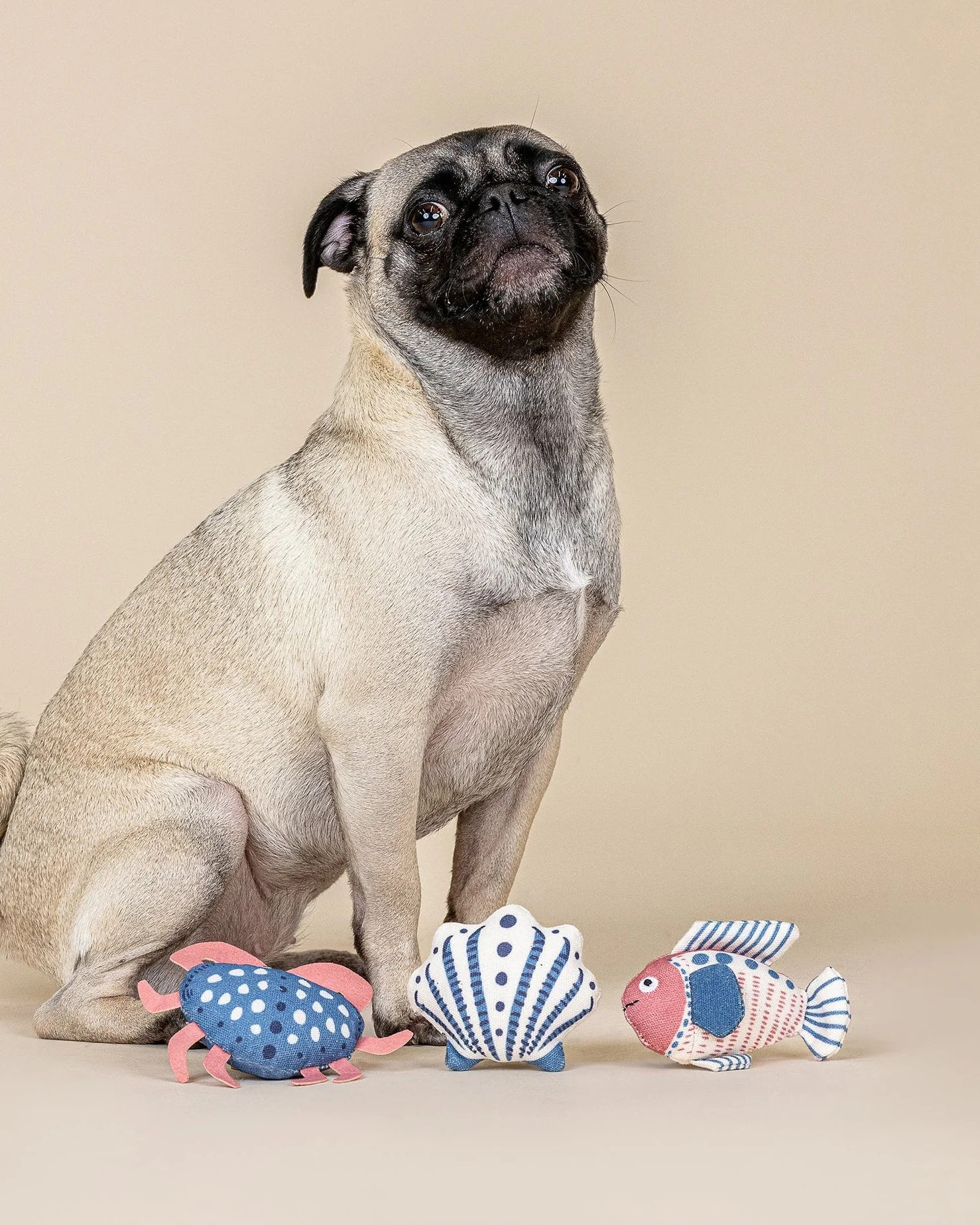 High Tides, Good Vibes Mini Dog Toy Set - Image 2