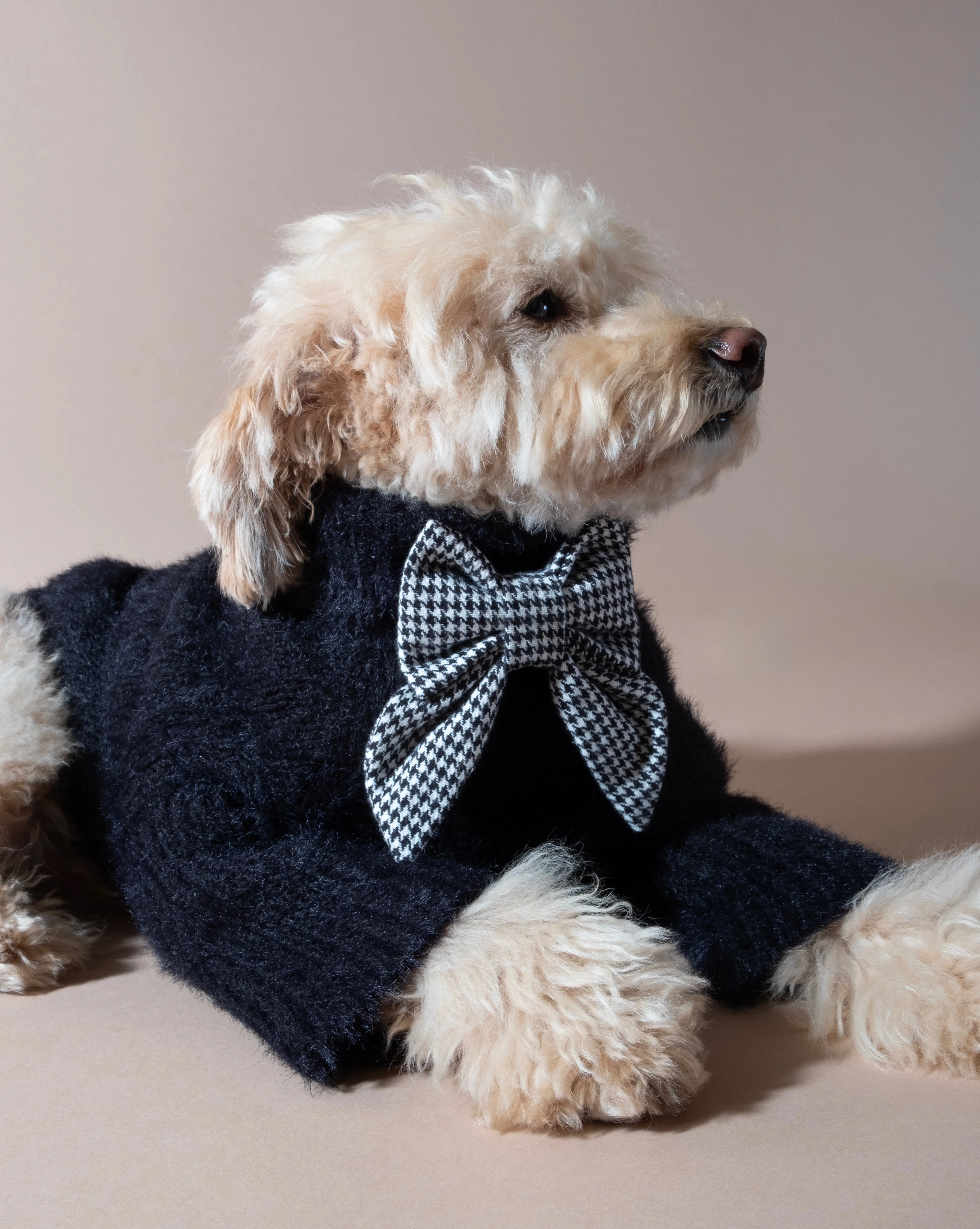 Prim + Pupper Houndstooth Lady Bow - Image 3