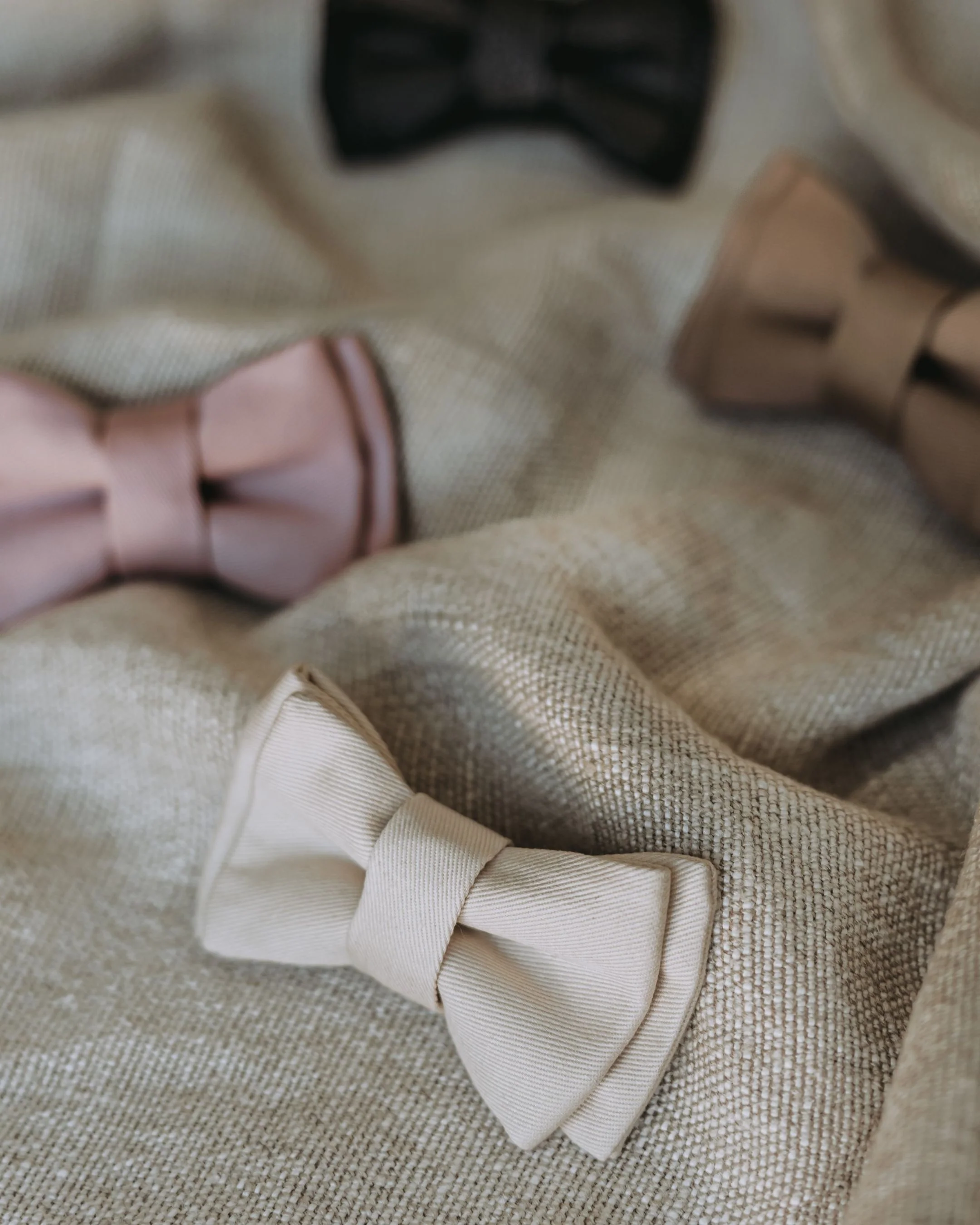 Walk of the Town Ivory Dog Bow Tie - Image 4