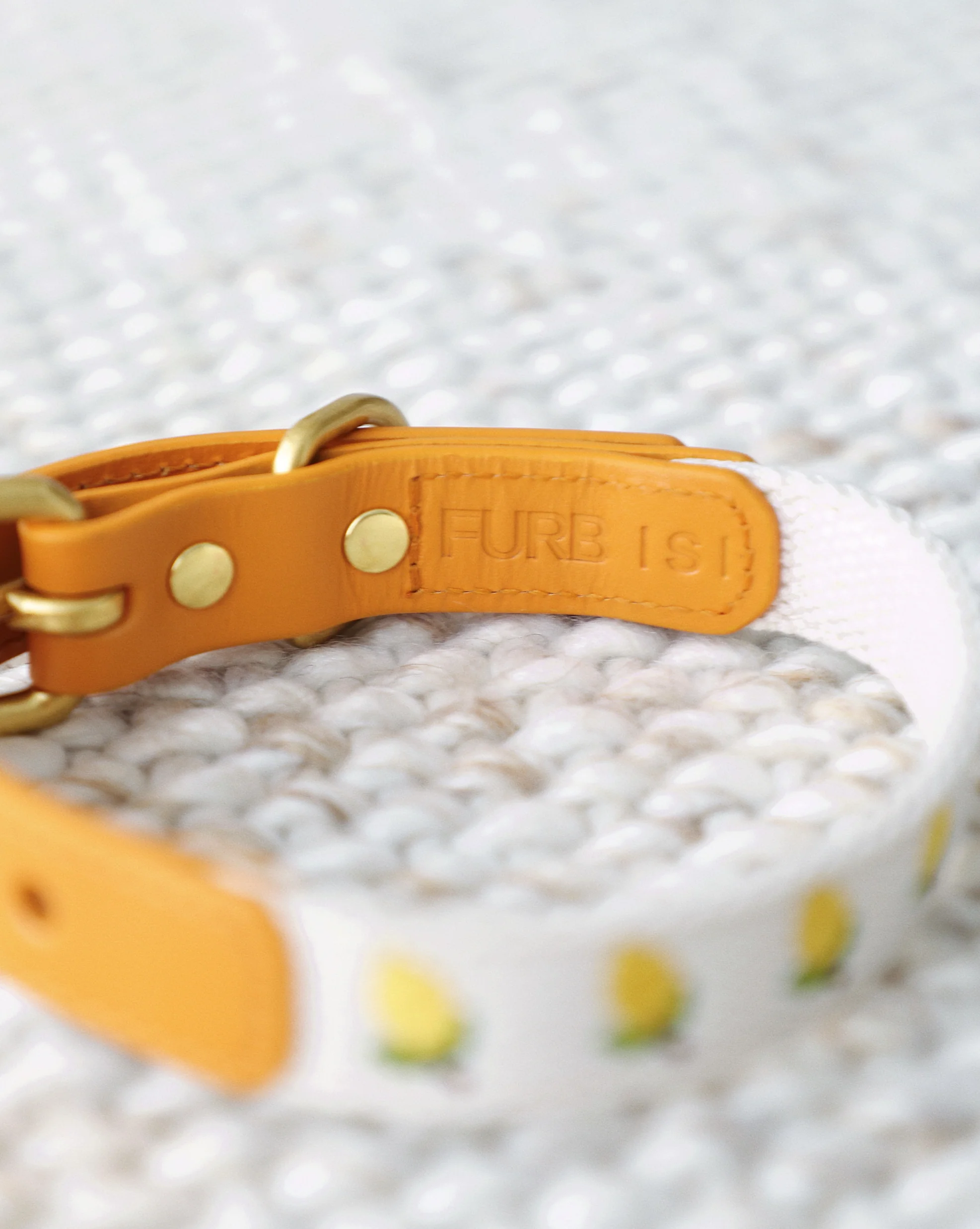 Petit Market Lemon Embroidered Dog Collar - Image 5