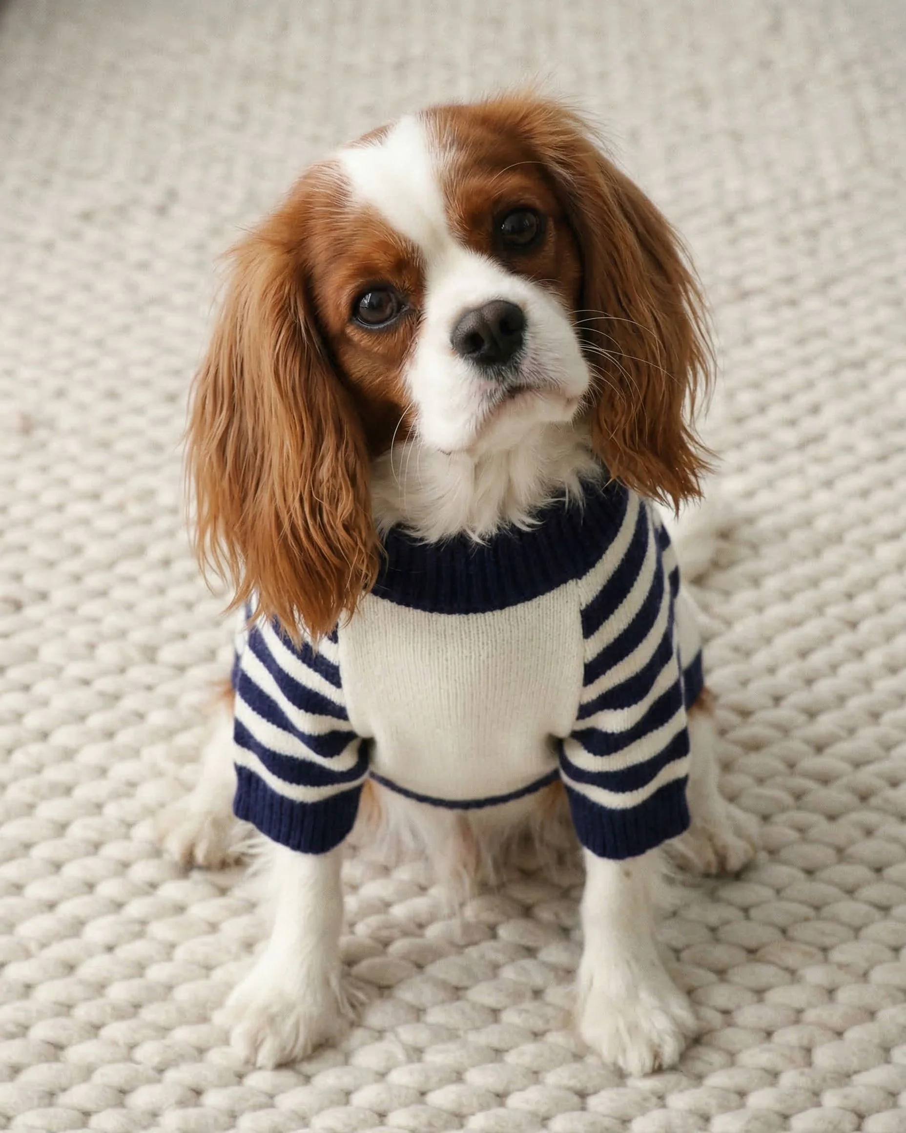 Shore Thing Lighthouse Sweater - Image 7