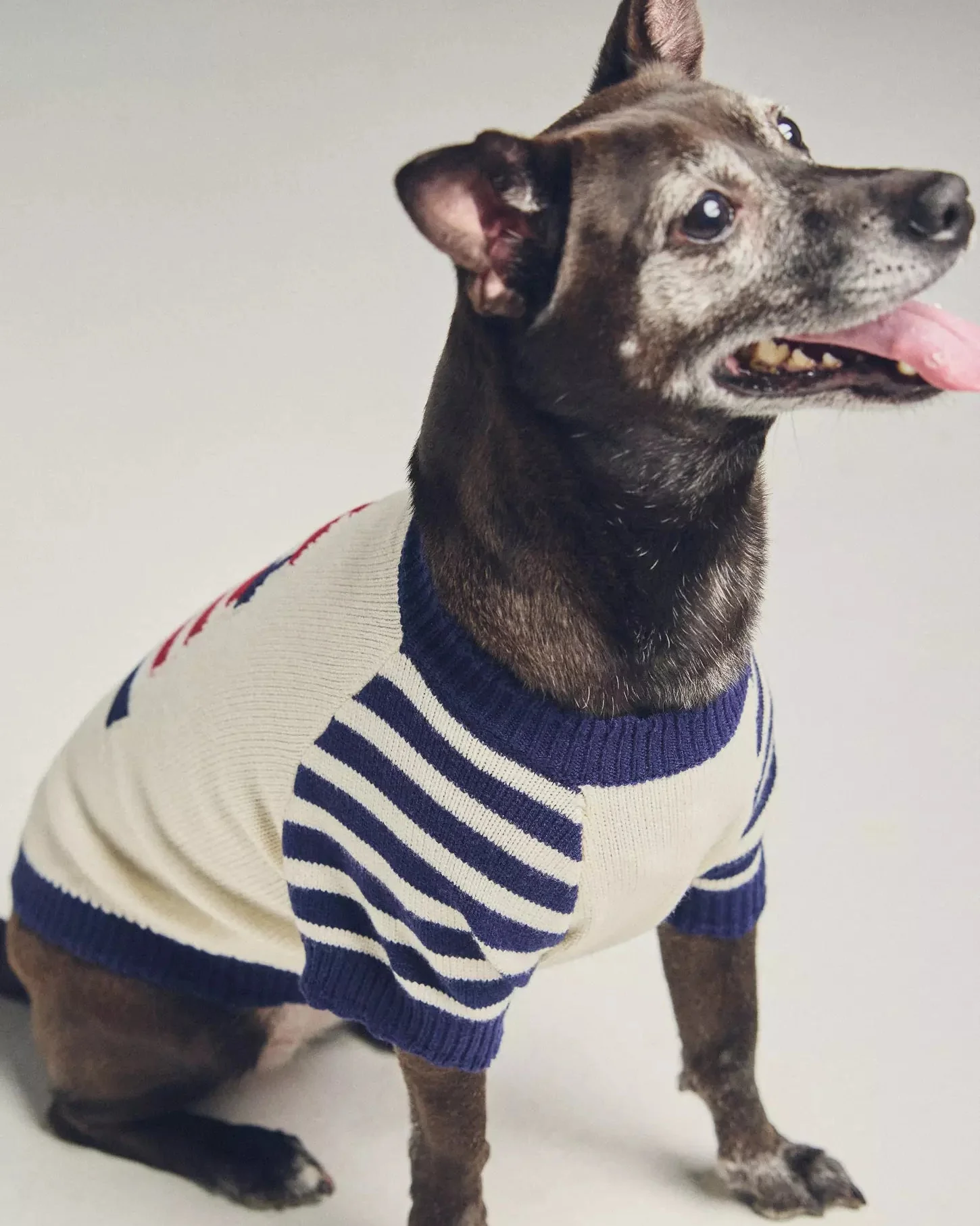 Shore Thing Lighthouse Sweater - Image 9