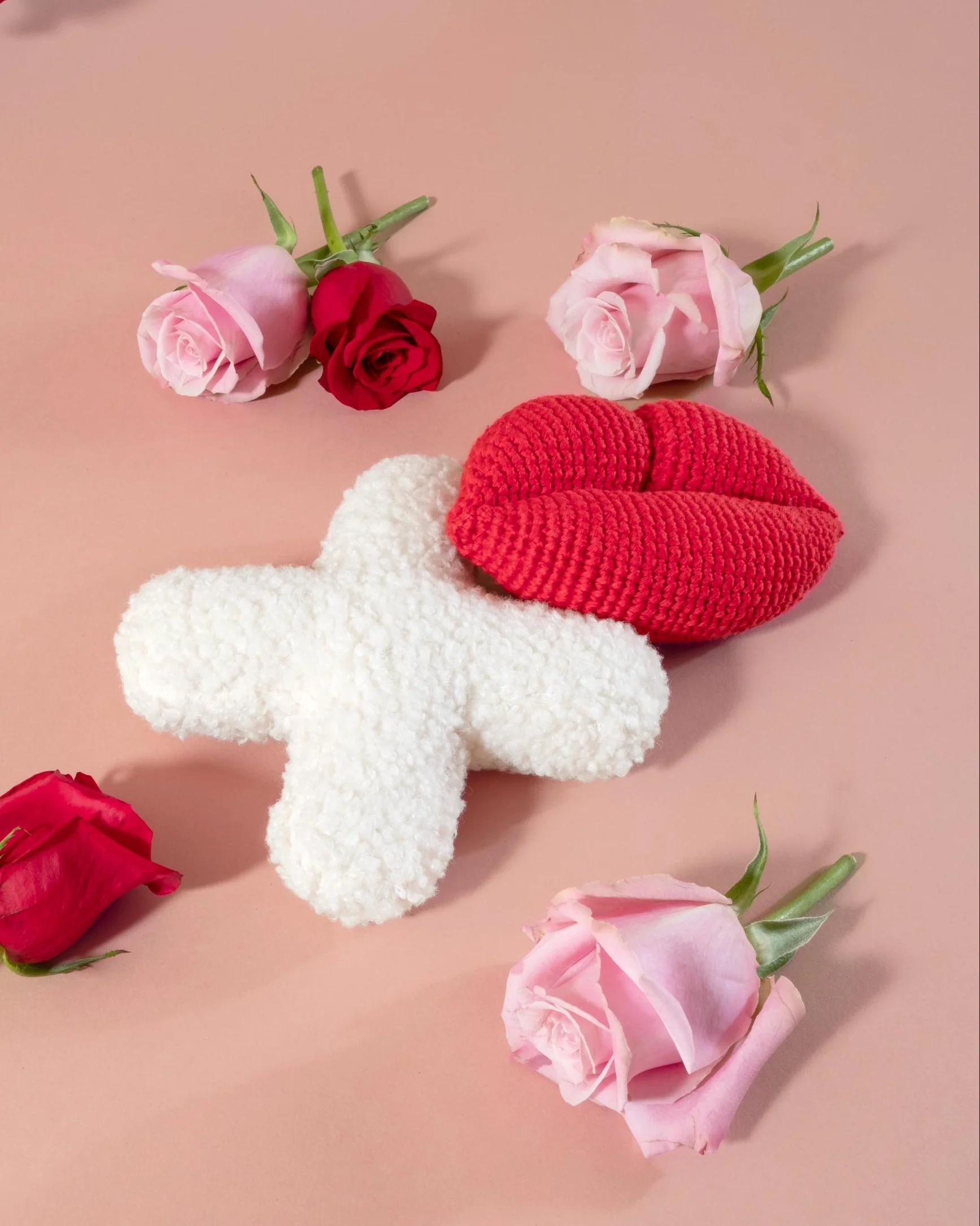 Smooches Hand-Knit Dog Toy - Image 2