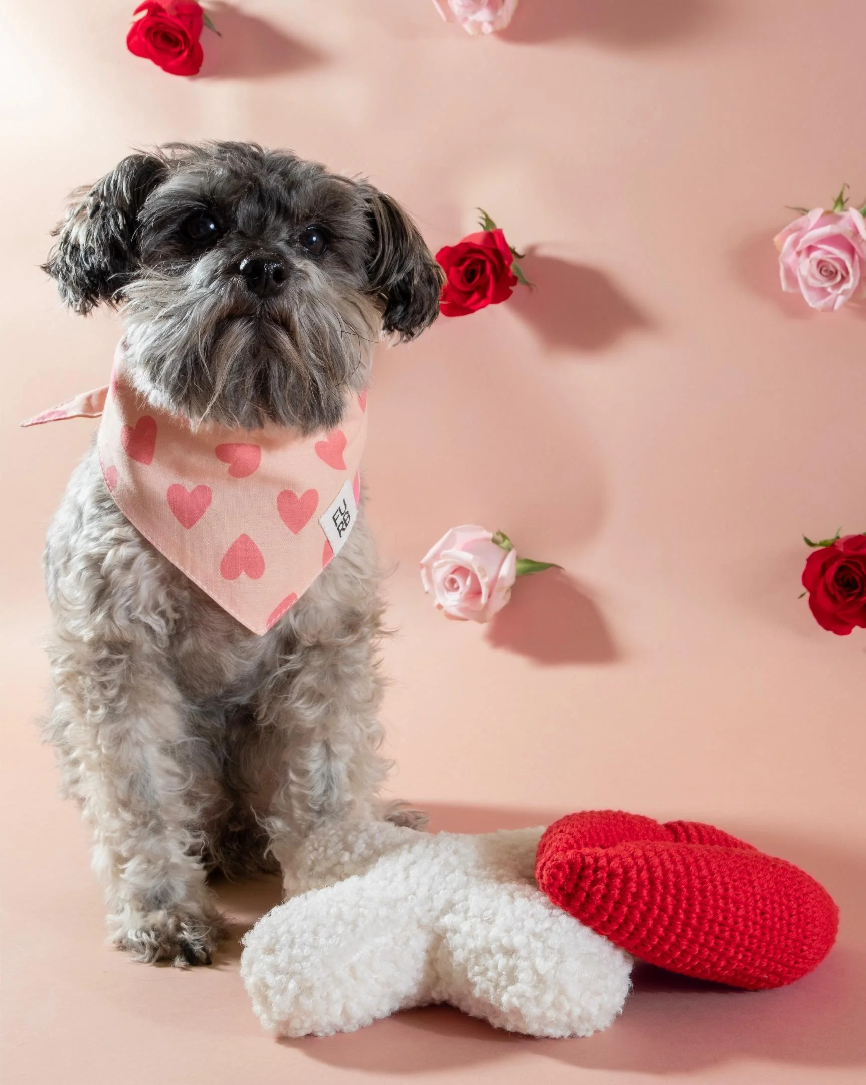 Smooches Hand-Knit Dog Toy - Image 3