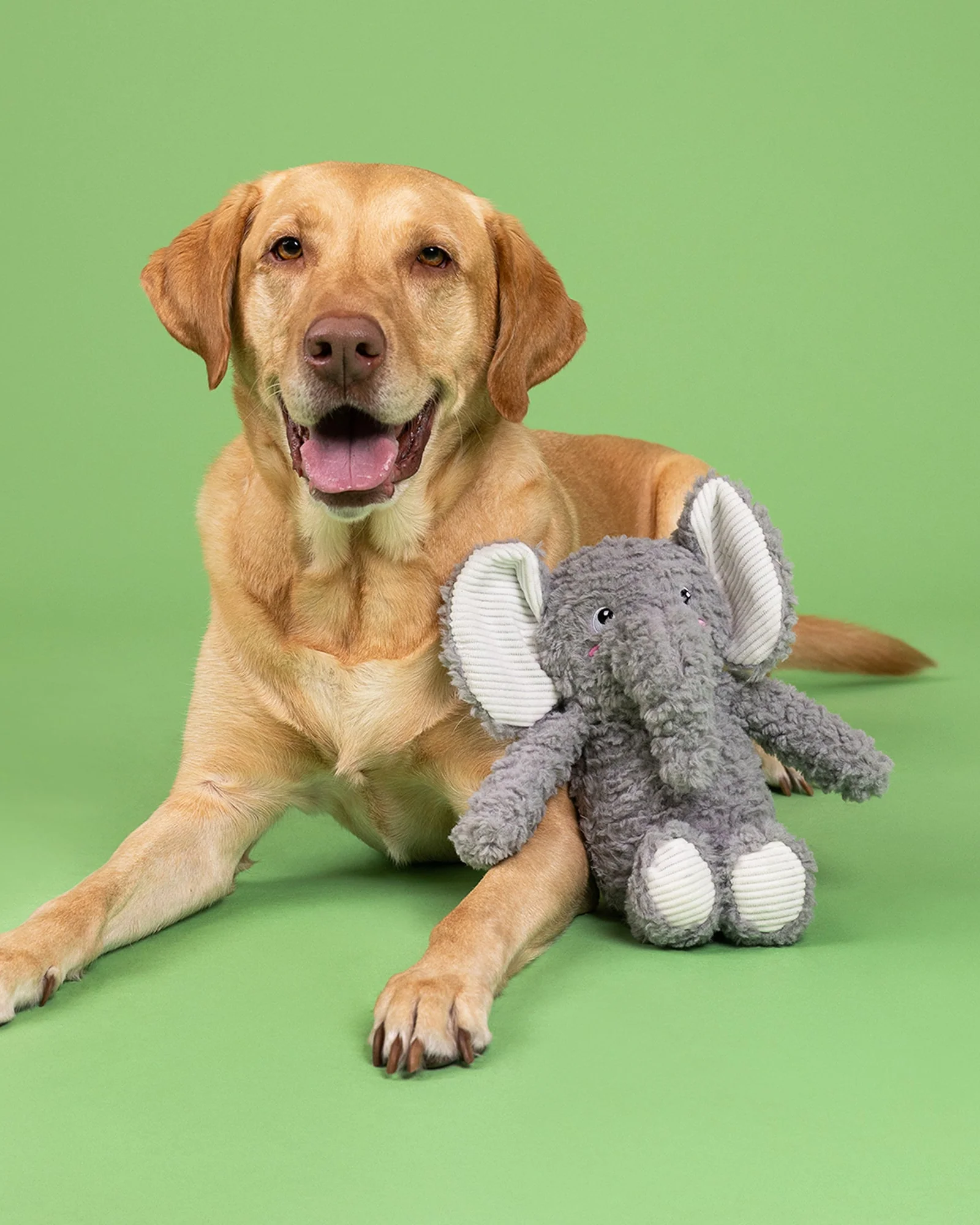 Love You a Ton Plush Elephant Dog Toy - Image 2