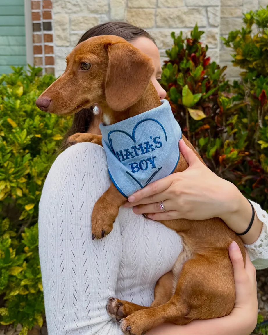 Mama's Boy Dog Bandana - Image 4